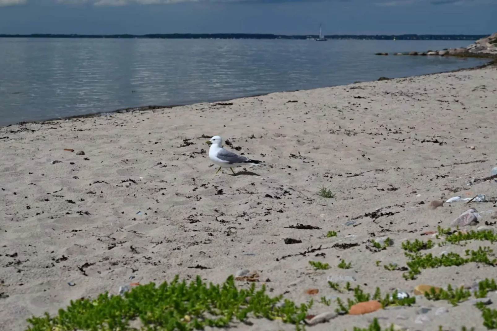 Stijlvolle Zeevilla op Ven-By Traum-Waterzicht