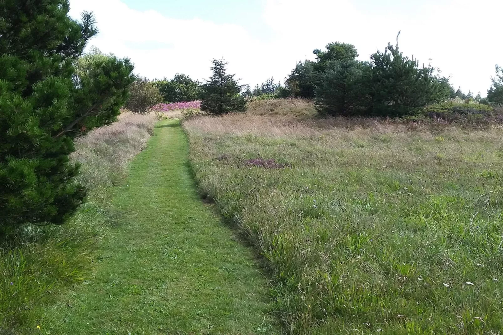 6 persoons vakantie huis in Fjerritslev-Niet-getagd