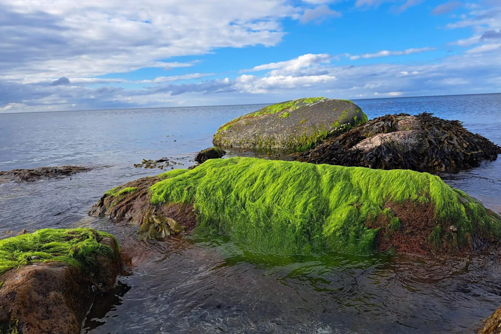 5 persoons vakantie huis in Otterup-Waterzicht