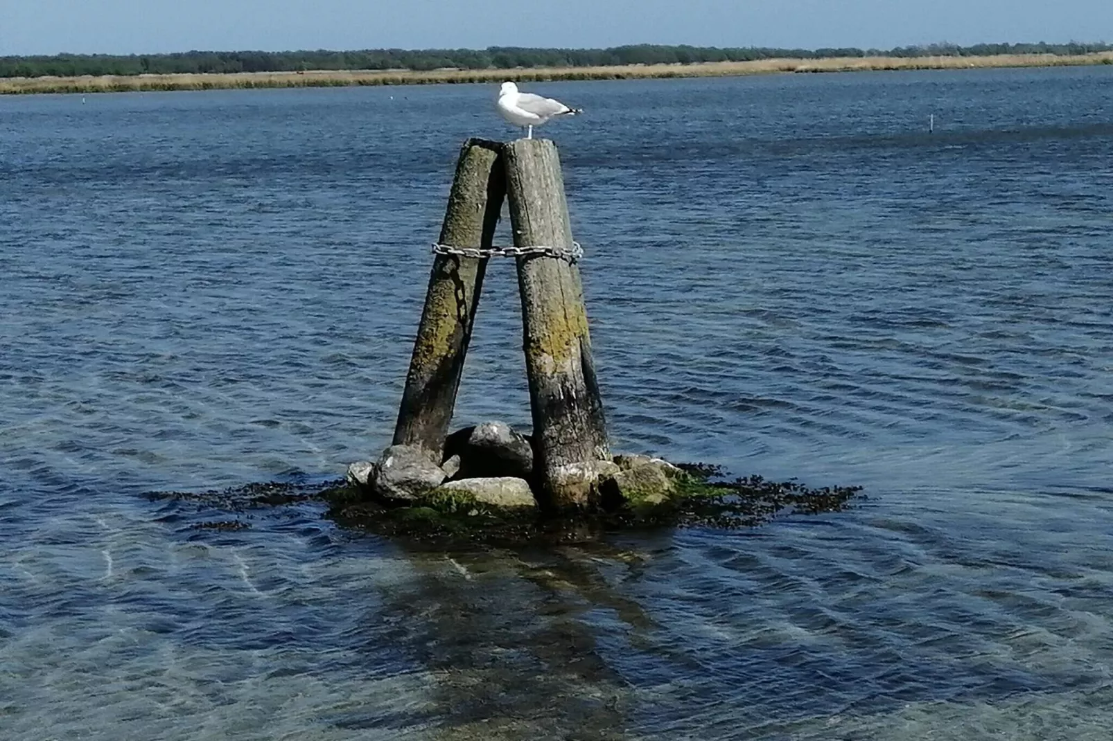 10 persoons vakantie huis in Stege-Waterzicht