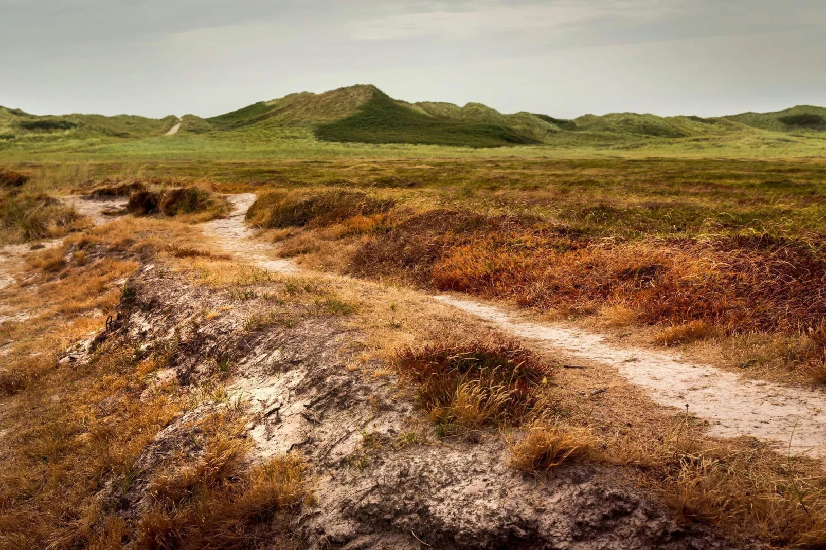 6 persoons vakantie huis in Hvide Sande-Niet-getagd