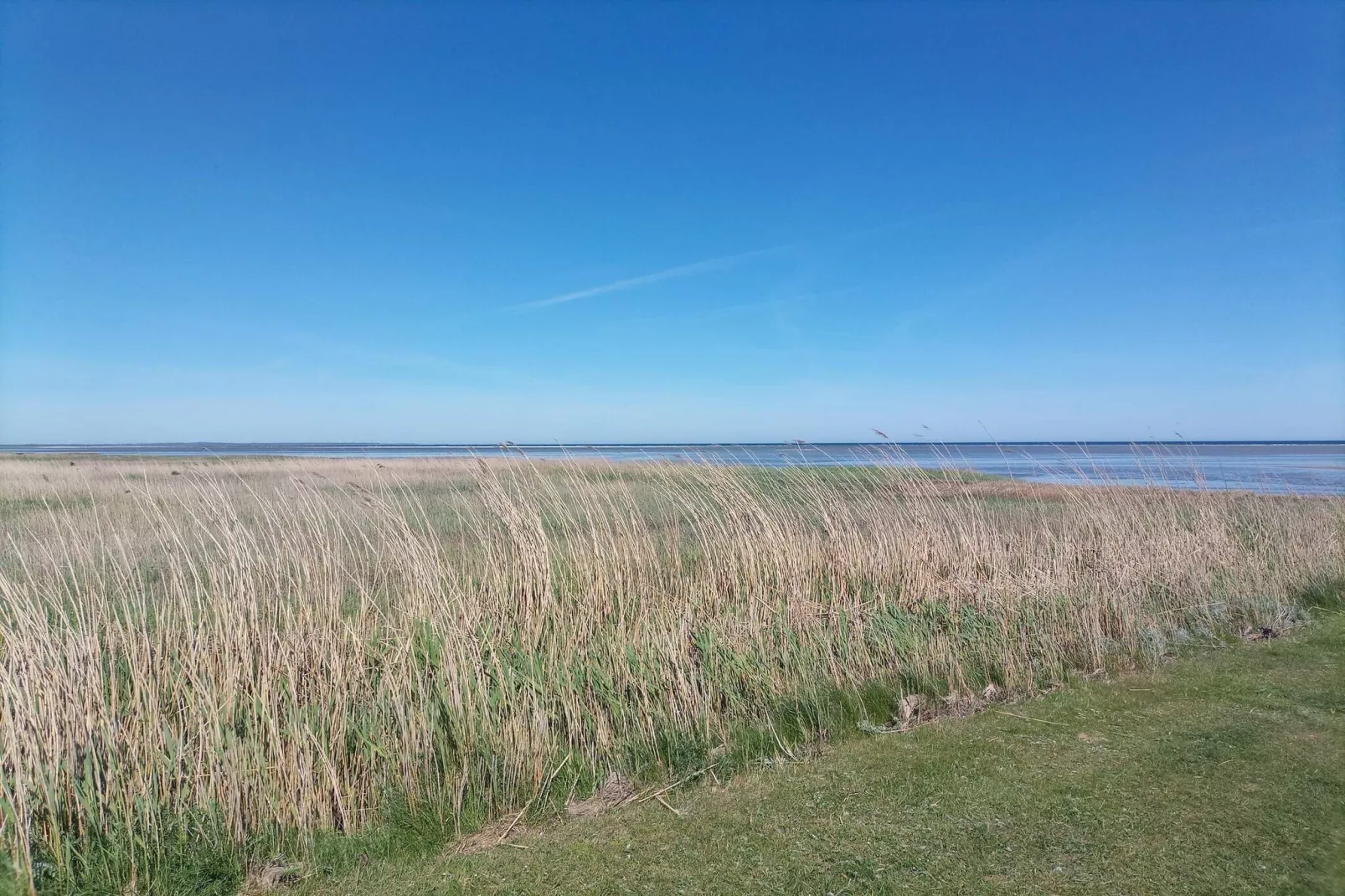 6 persoons vakantie huis in Ørsted - Niet-getagd