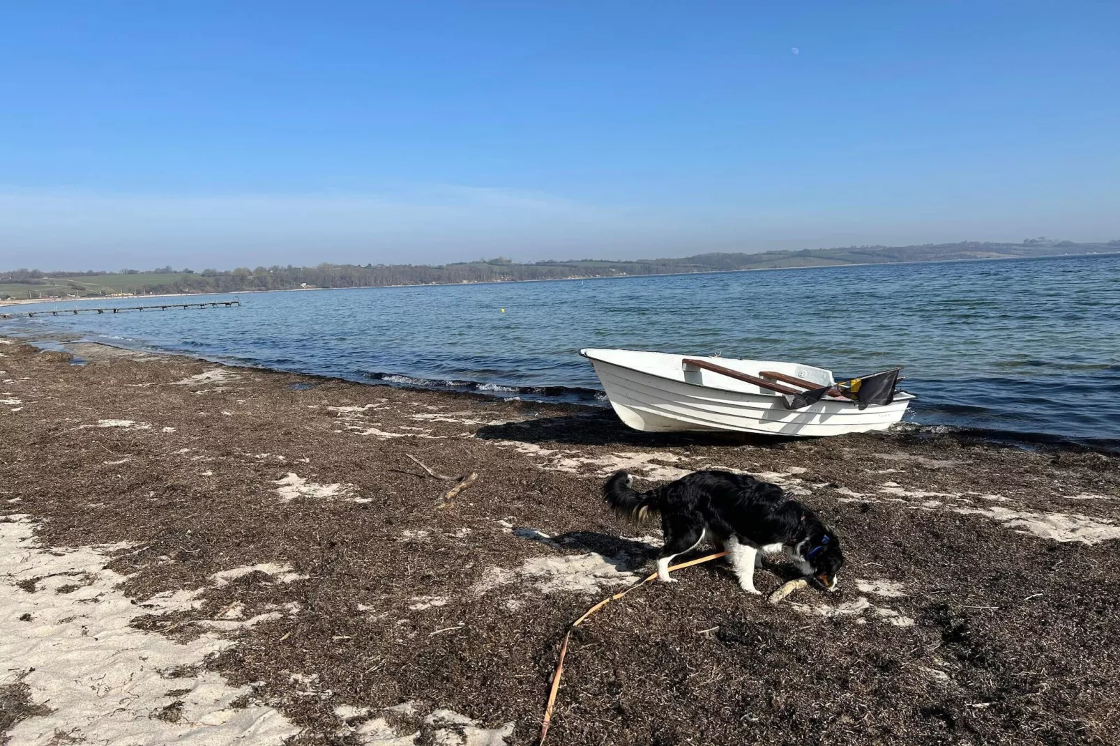 4 persoons vakantie huis in Broager-By Traum-Waterzicht