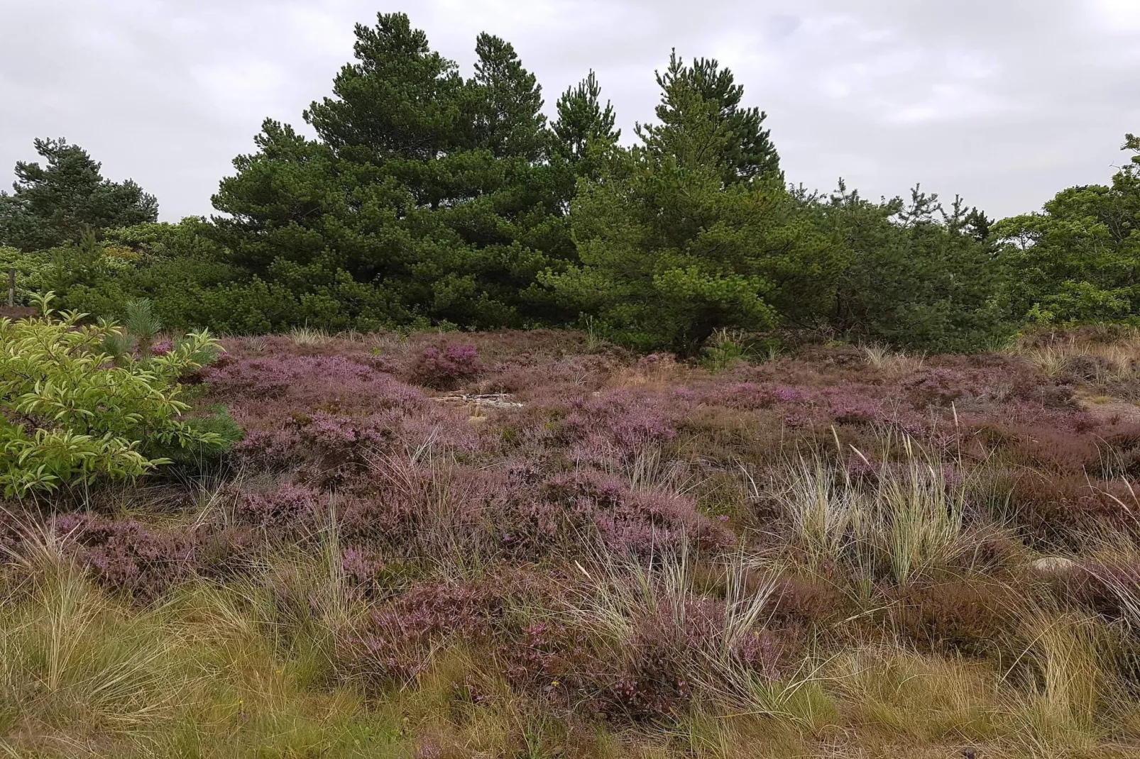 RIM FERIECENTER-Waterzicht