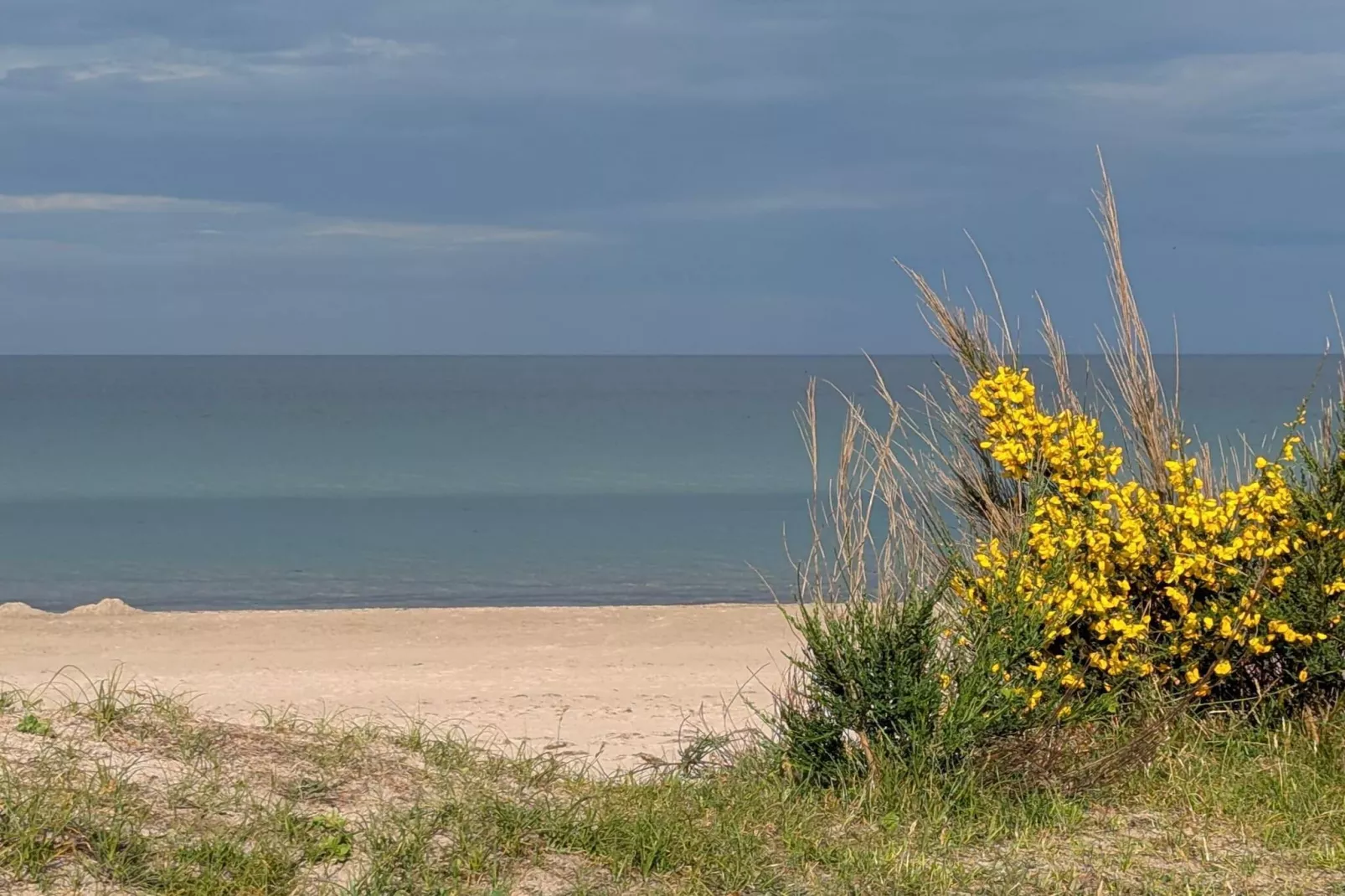 8 persoons vakantie huis in Væggerløse-By Traum