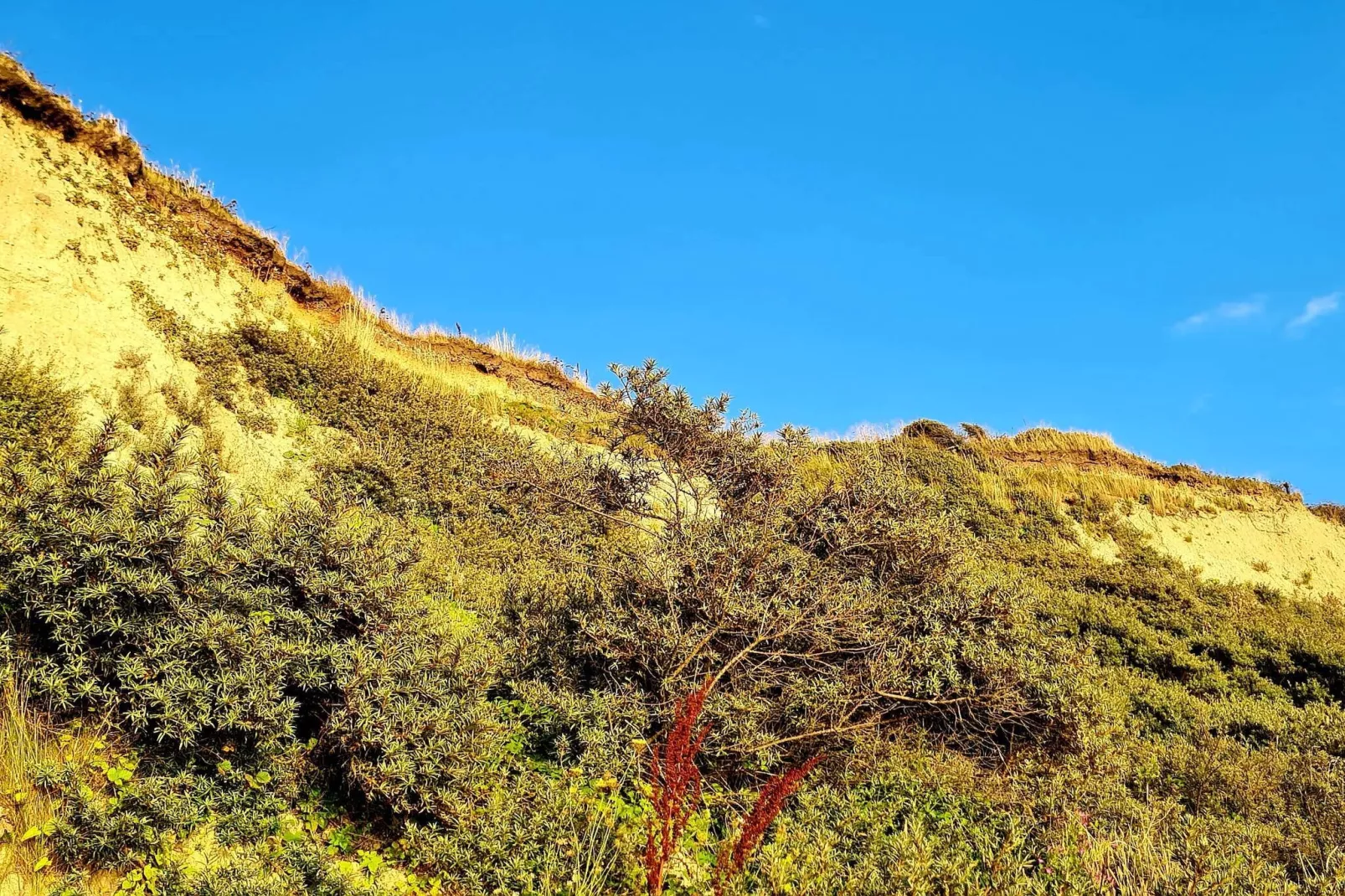 6 persoons vakantie huis in Vestervig-By Traum-Niet-getagd