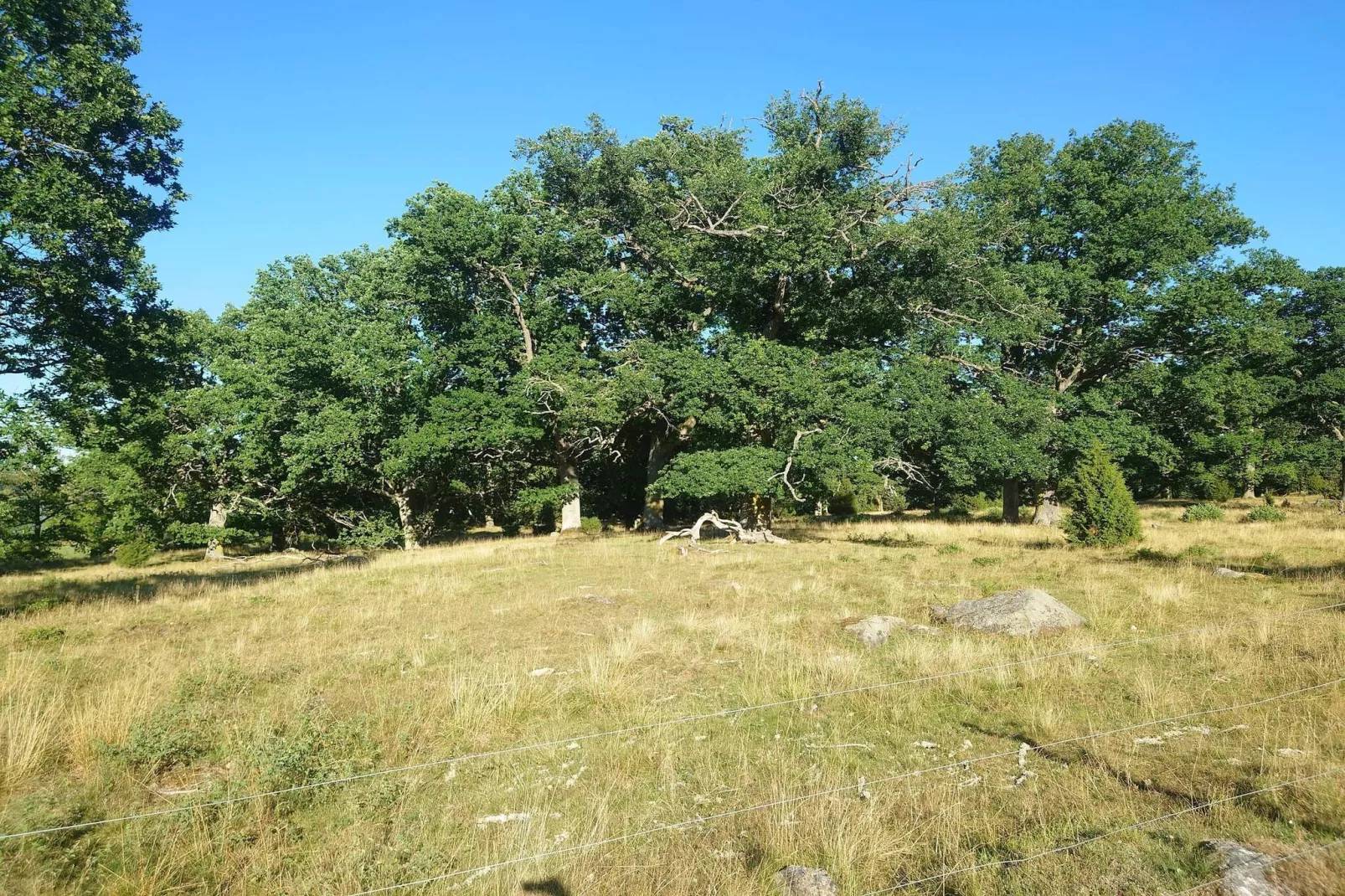 4 persoons vakantie huis in VETLANDA-By Traum-Niet-getagd