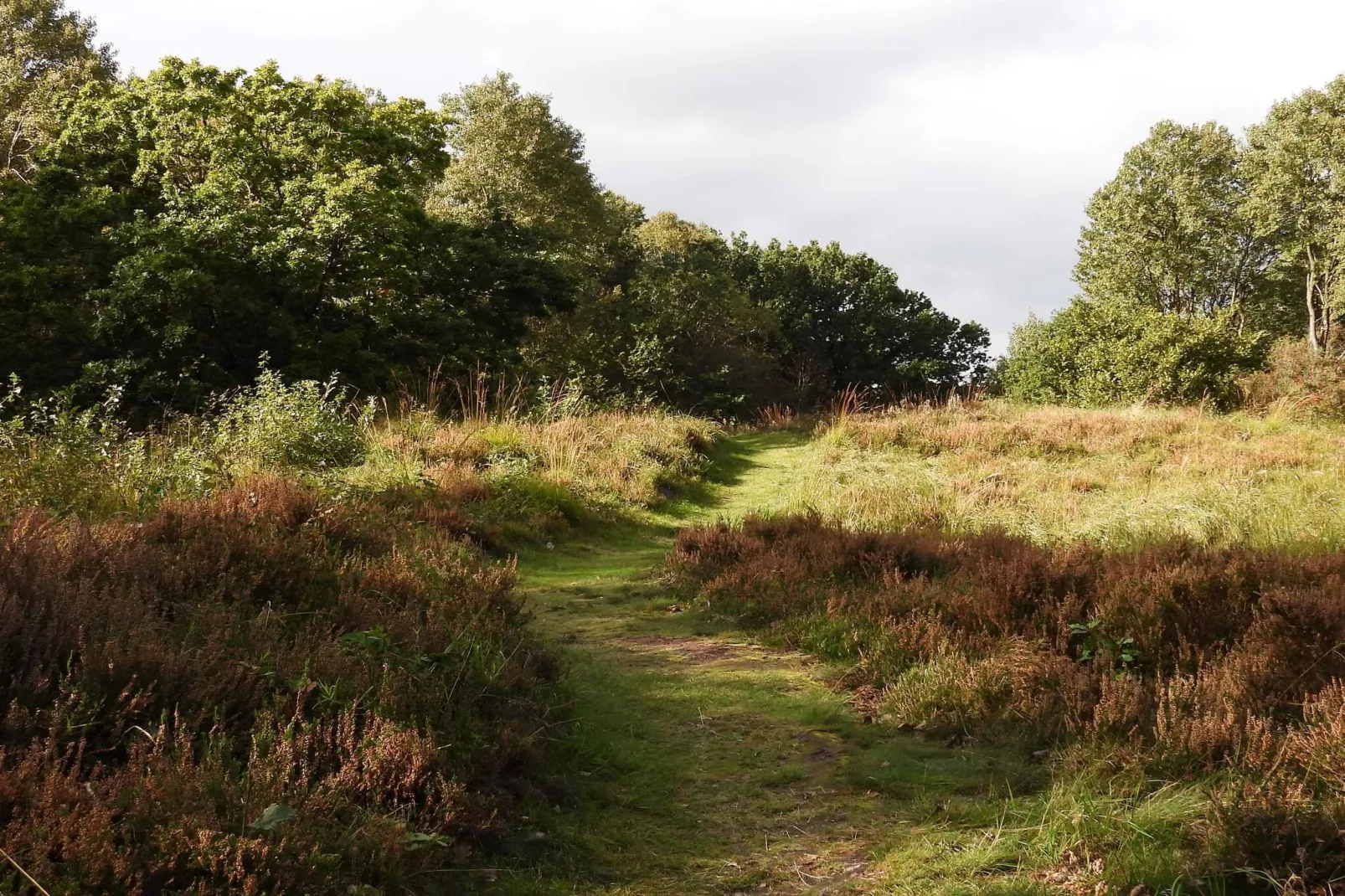 Rustiek huisje met open haard-Niet-getagd
