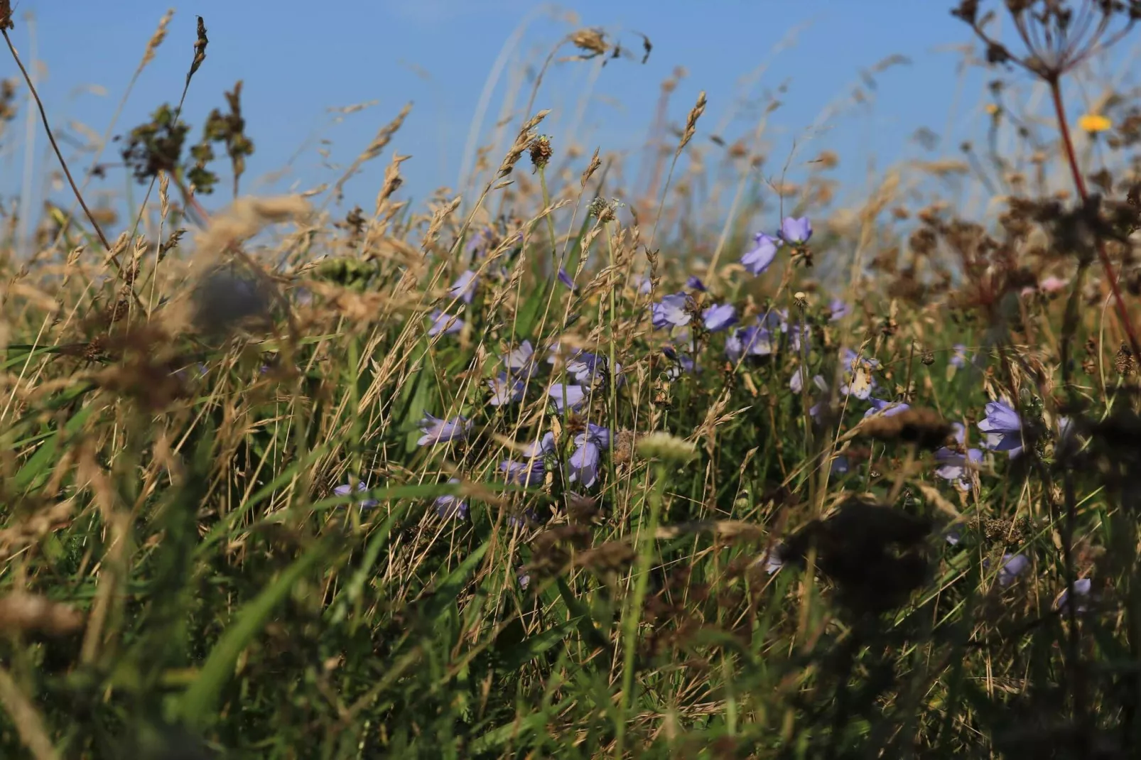 8 persoons vakantie huis in Vestervig-By Traum-Niet-getagd