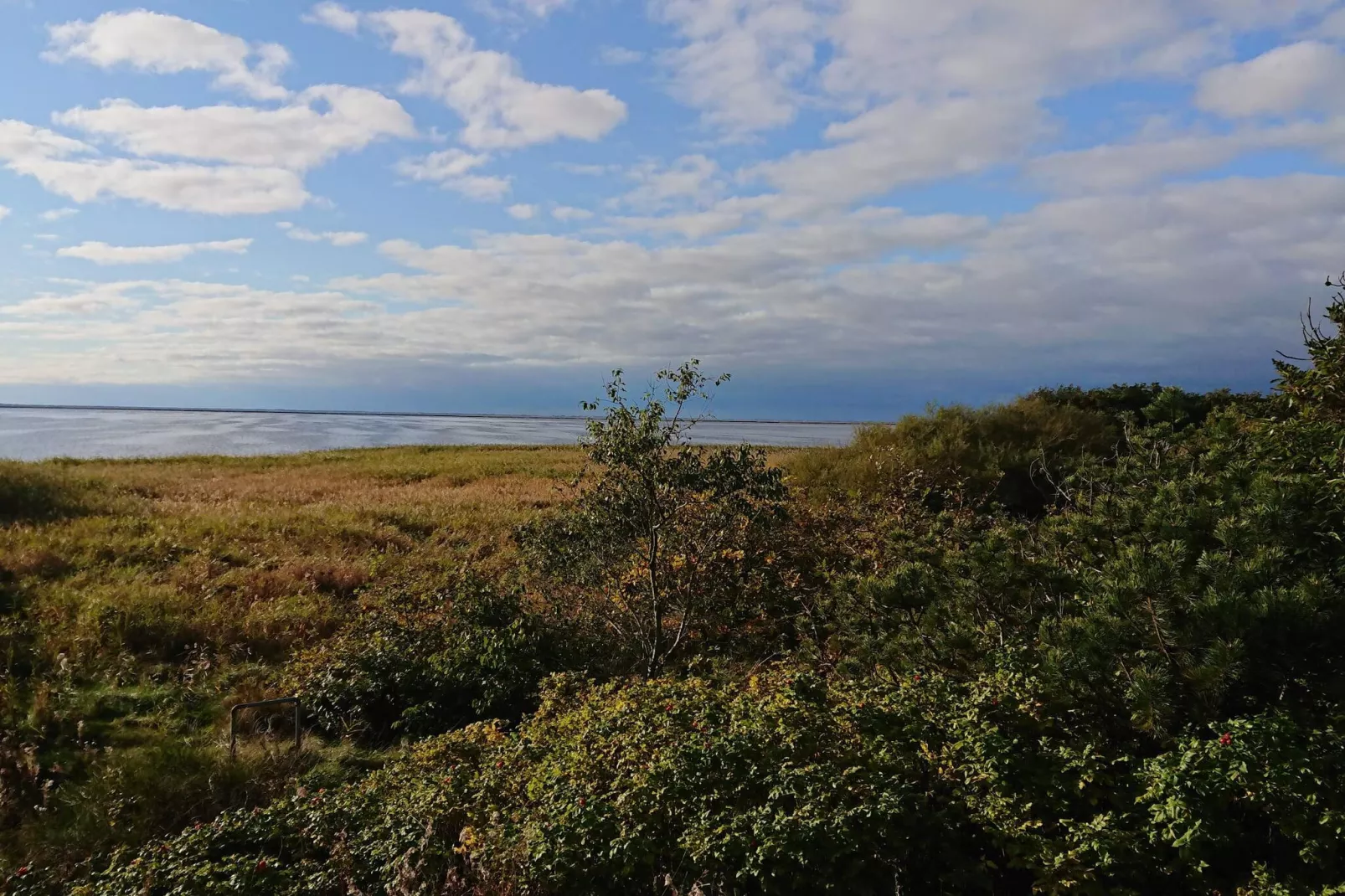 10 persoons vakantie huis in Skjern-By Traum-Niet-getagd