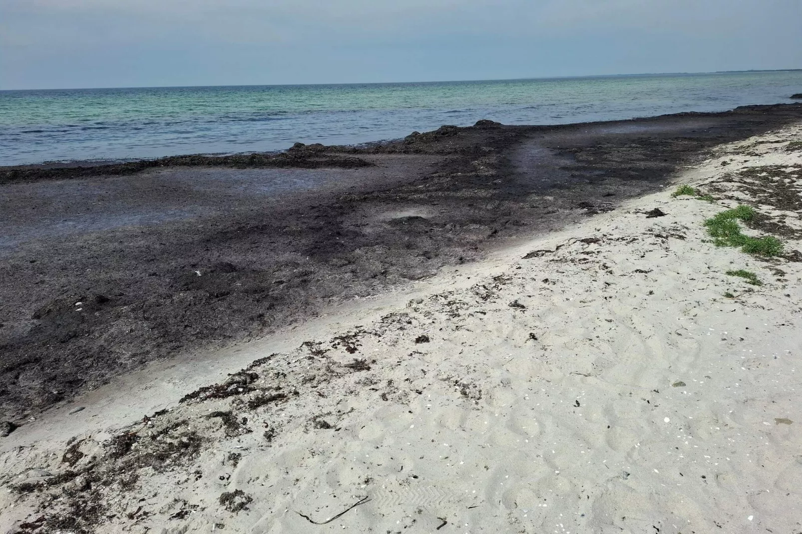 8 persoons vakantie huis in Rødby-By Traum-Waterzicht