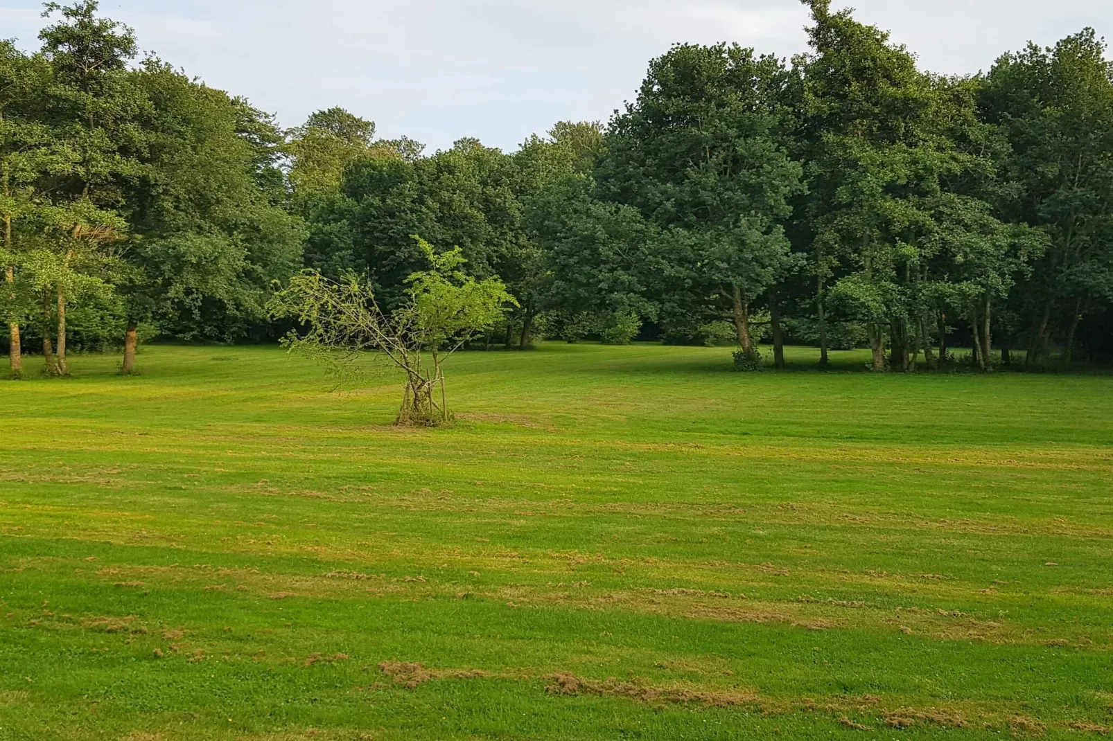 6 persoons vakantie huis in Præstø-By Traum-Niet-getagd