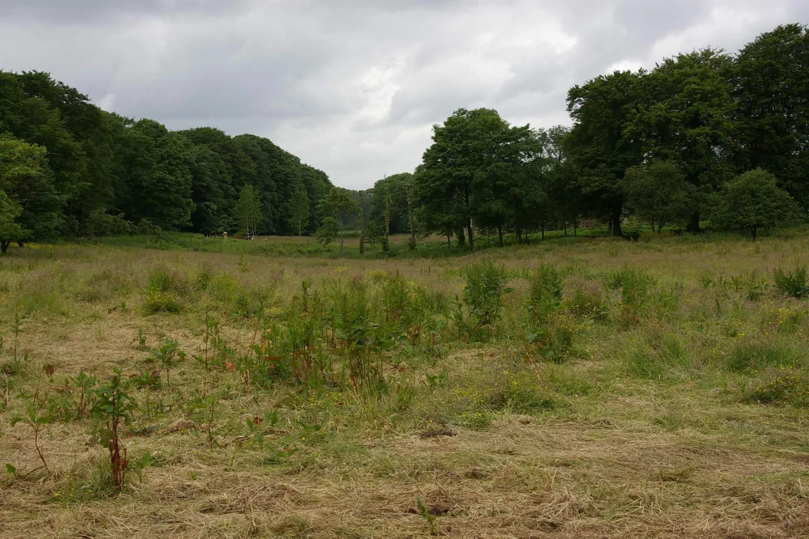 6 persoons vakantie huis in Højslev-By Traum-Niet-getagd