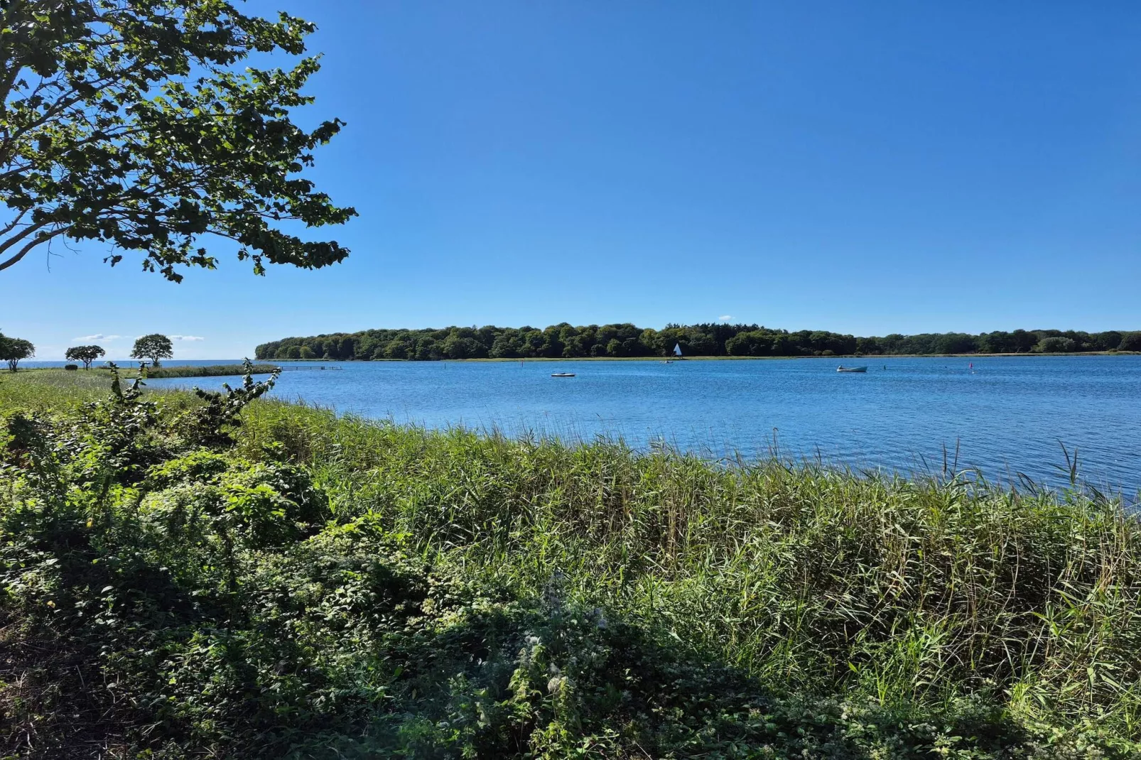 8 persoons vakantie huis in Nysted-Waterzicht