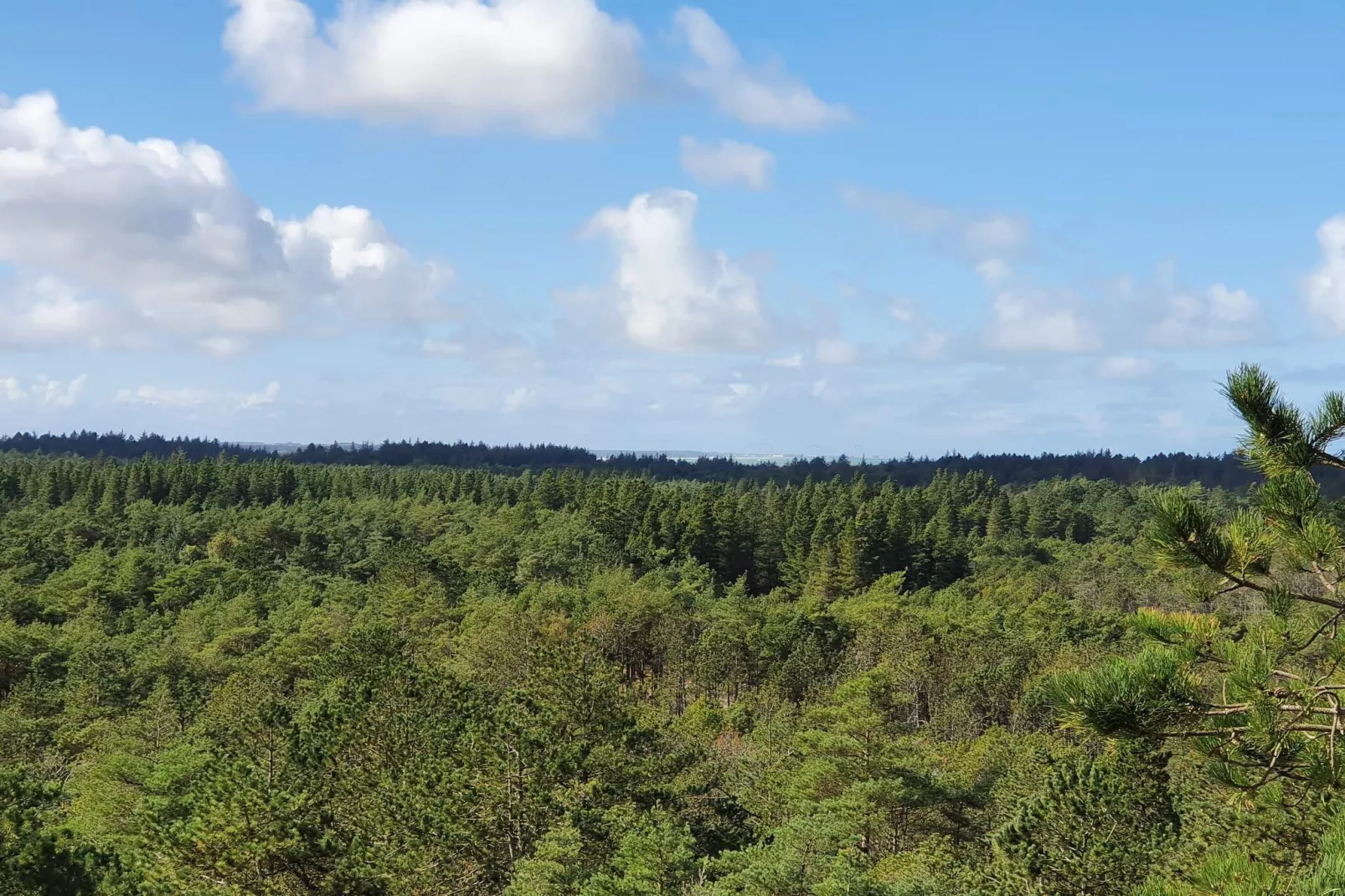 Gezinsuitje in Lodskovvad -- By Traum Ferienwohnungen-Buitenlucht