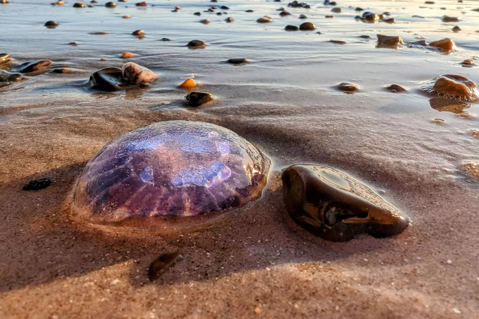 Strandparadijs in Saltum -- By Traum Ferienwohnungen-Waterzicht