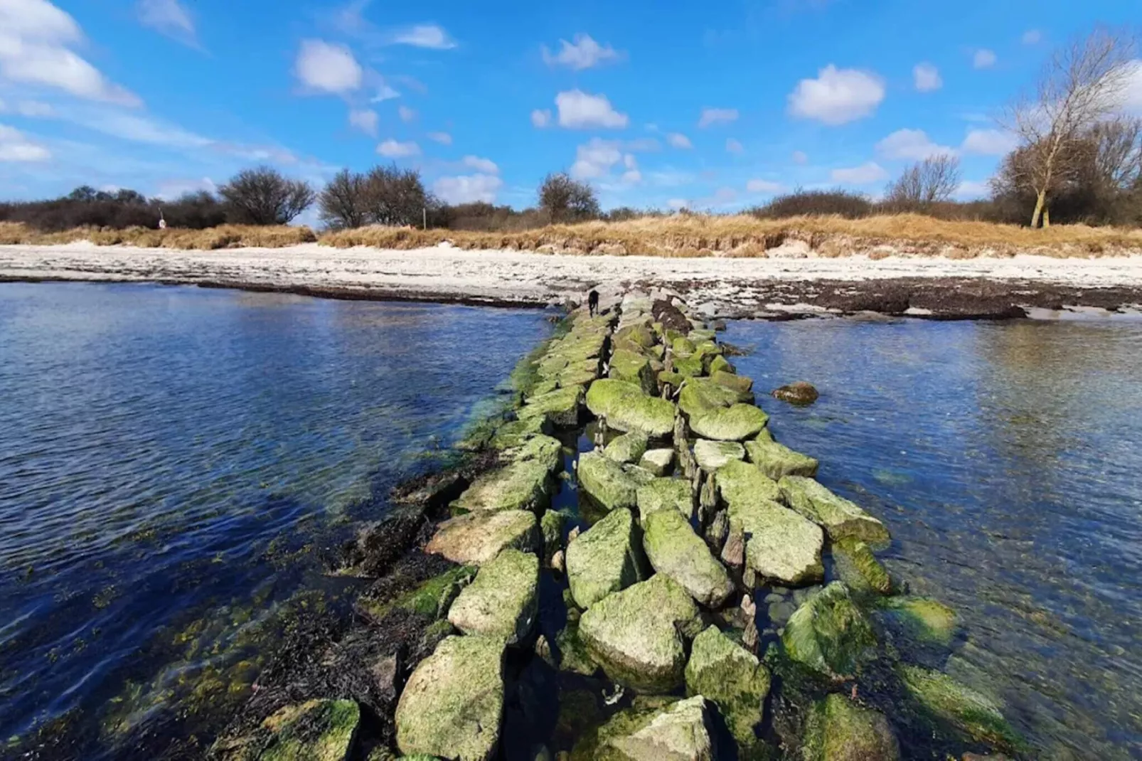 14 persoons vakantie huis in Idestrup-By Traum-Waterzicht