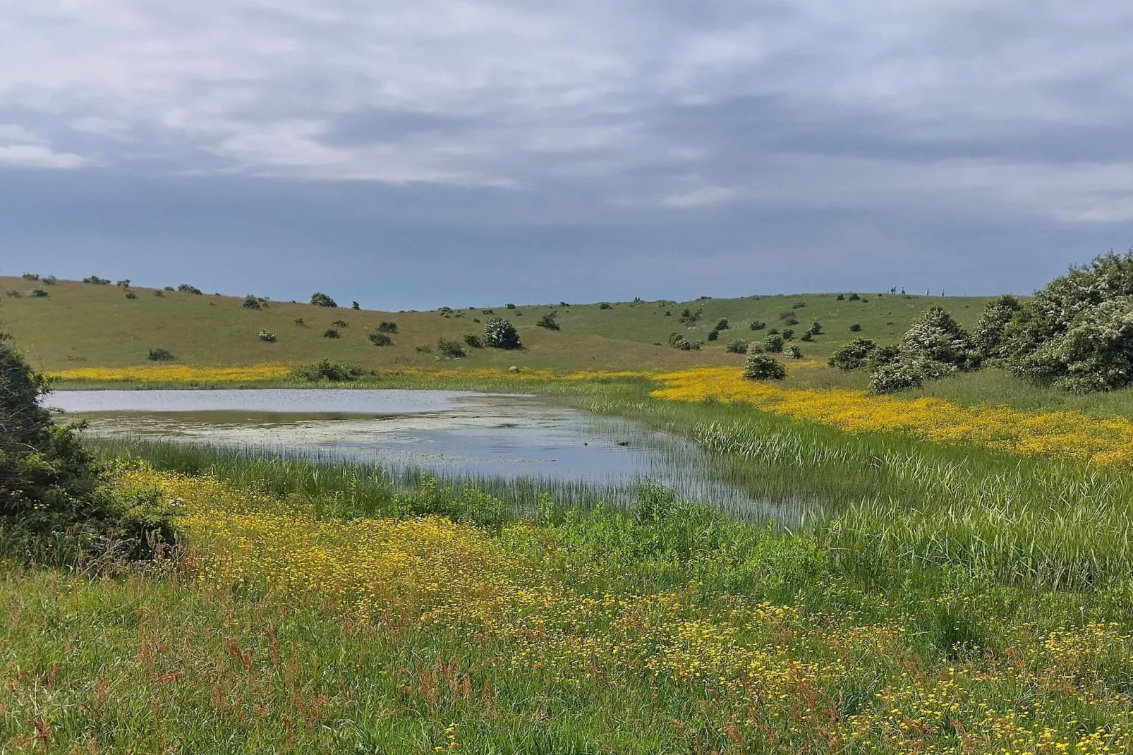 4 persoons vakantie huis in Martofte-By Traum-Waterzicht