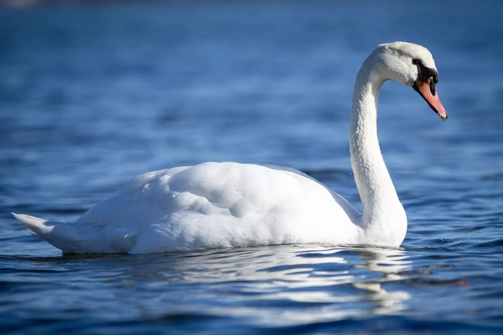 6 persoons vakantie huis in Bjert-By Traum-Waterzicht