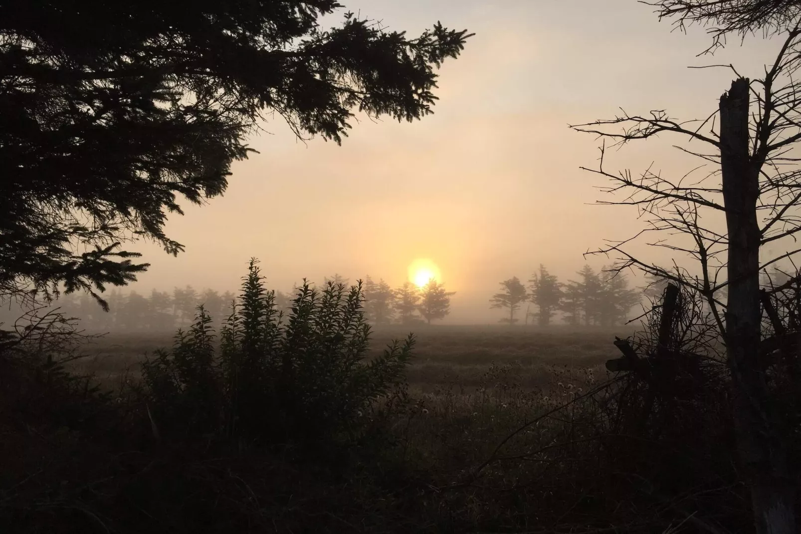 10 persoons vakantie huis in Ulfborg-By Traum-Niet-getagd