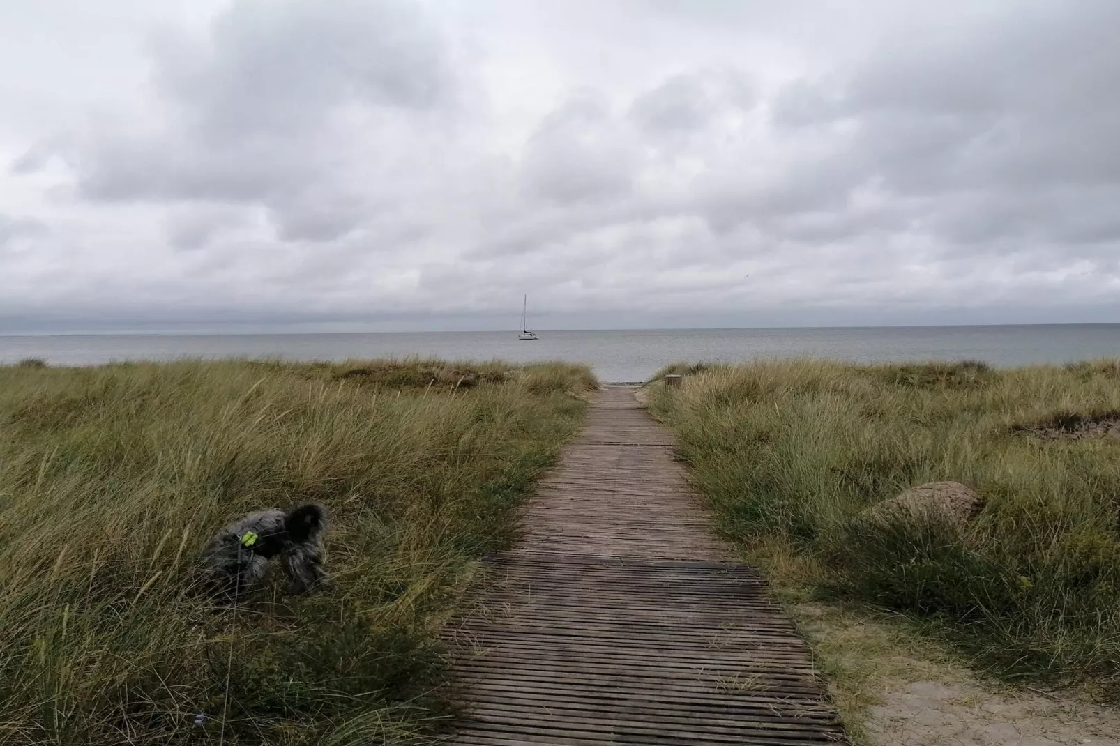 8 persoons vakantie huis in Stege-By Traum-Niet-getagd