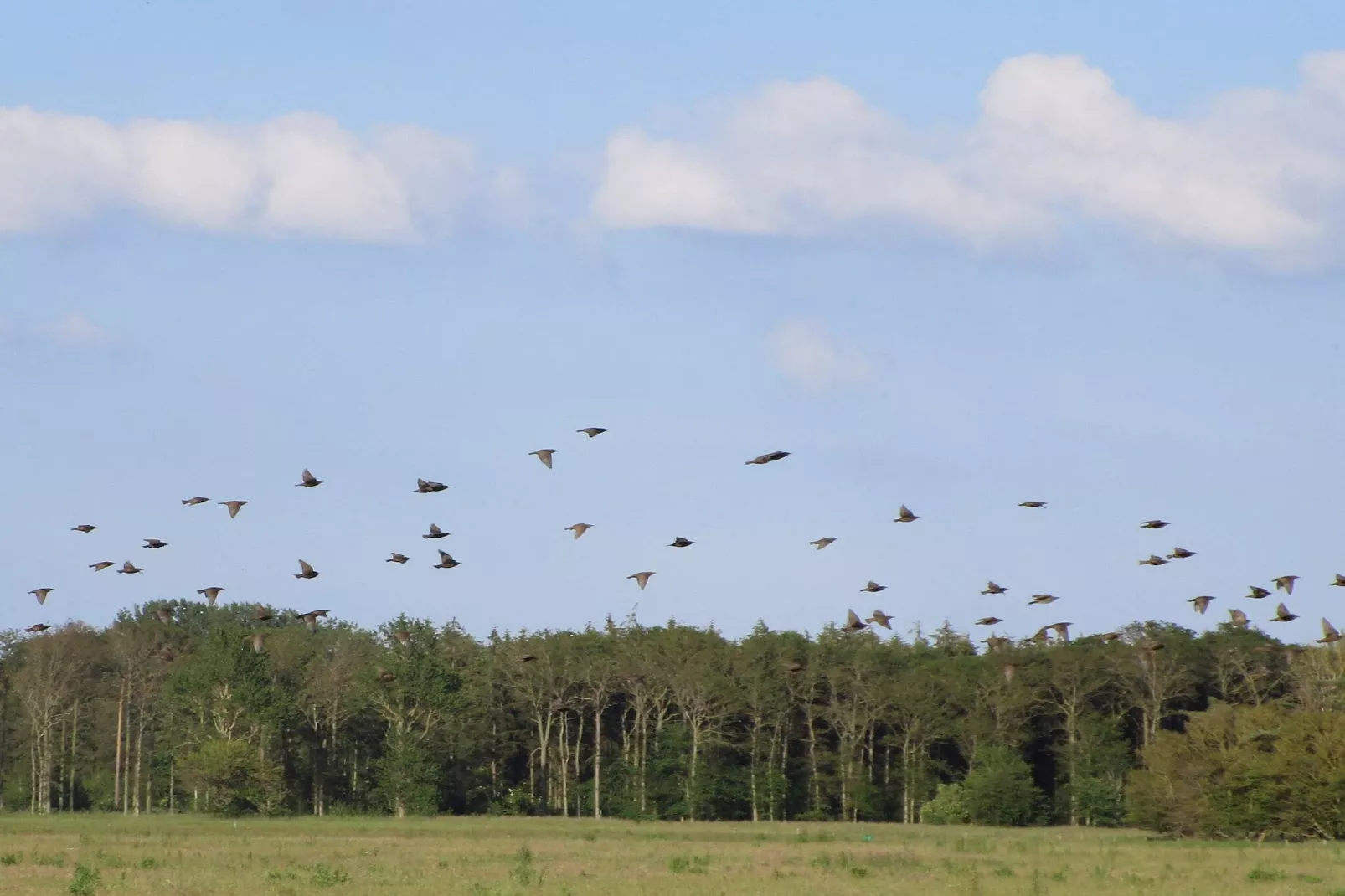 4 persoons vakantie huis in Bogense-By Traum-Niet-getagd