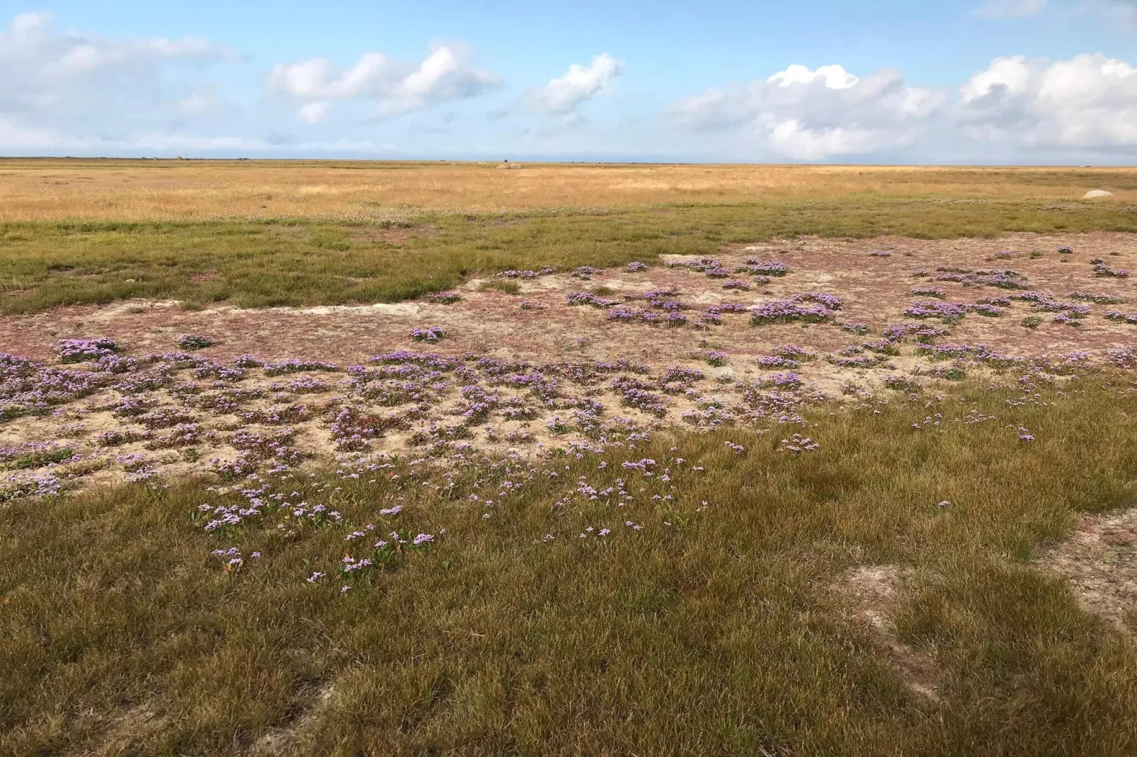 6 persoons vakantie huis in Læsø-By Traum-Niet-getagd