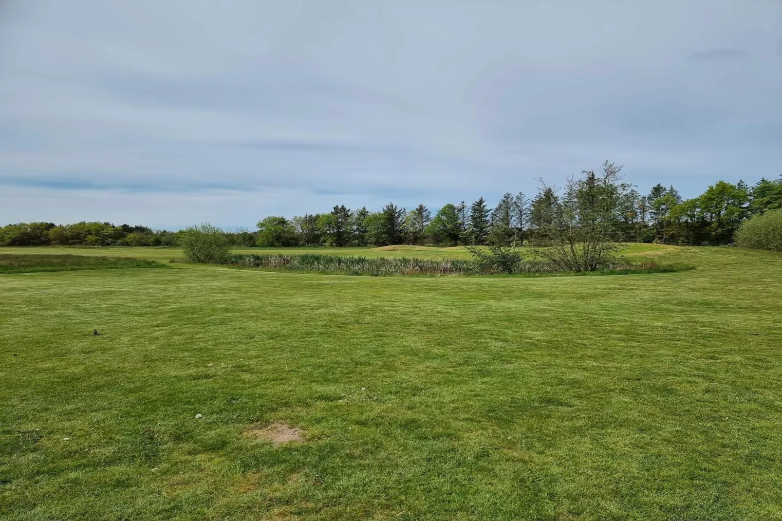 6 persoons vakantie huis in Pandrup-Niet-getagd