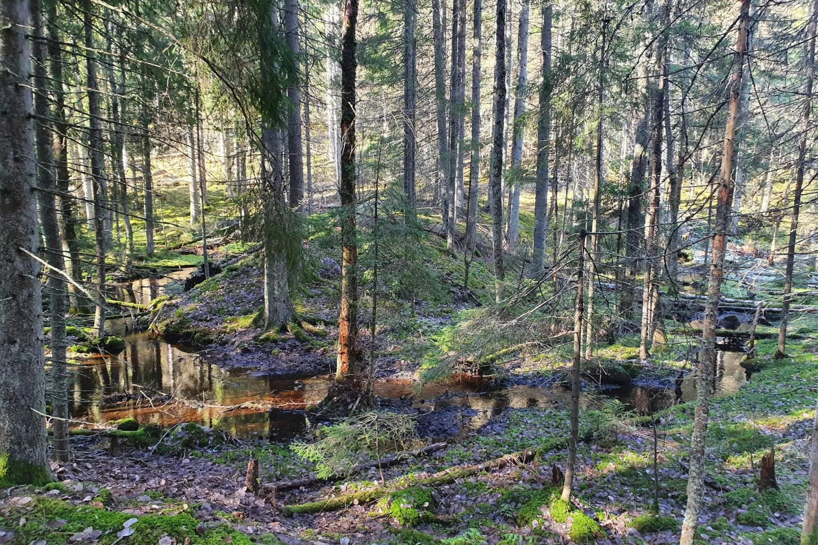 6 persoons vakantie huis in ÅSBRO-By Traum-Waterzicht