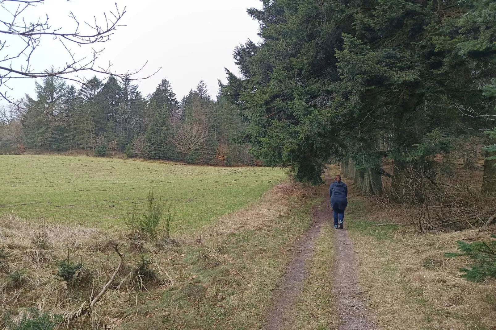 8 persoons vakantie huis in Brovst-By Traum-Niet-getagd