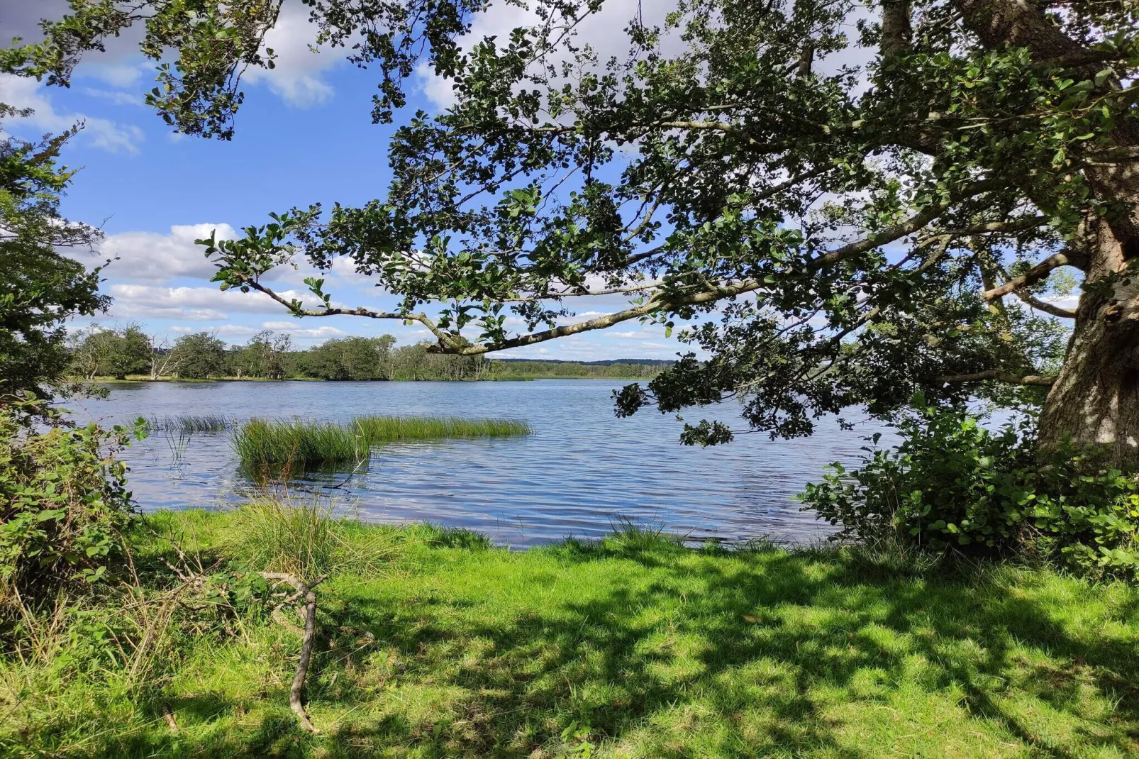 10 persoons vakantie huis in Ry-By Traum