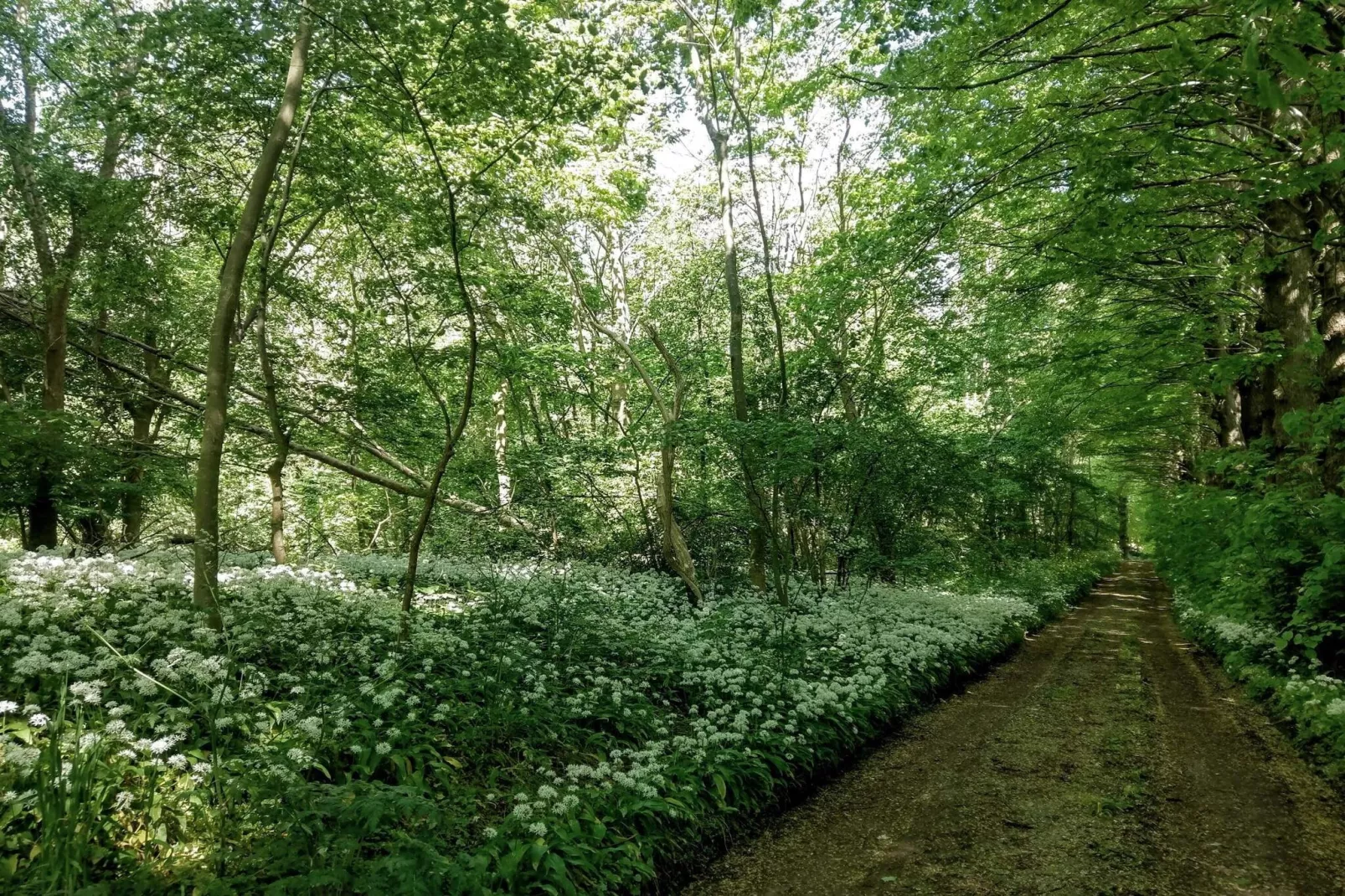 9 persoons vakantie huis in Skibby-Niet-getagd
