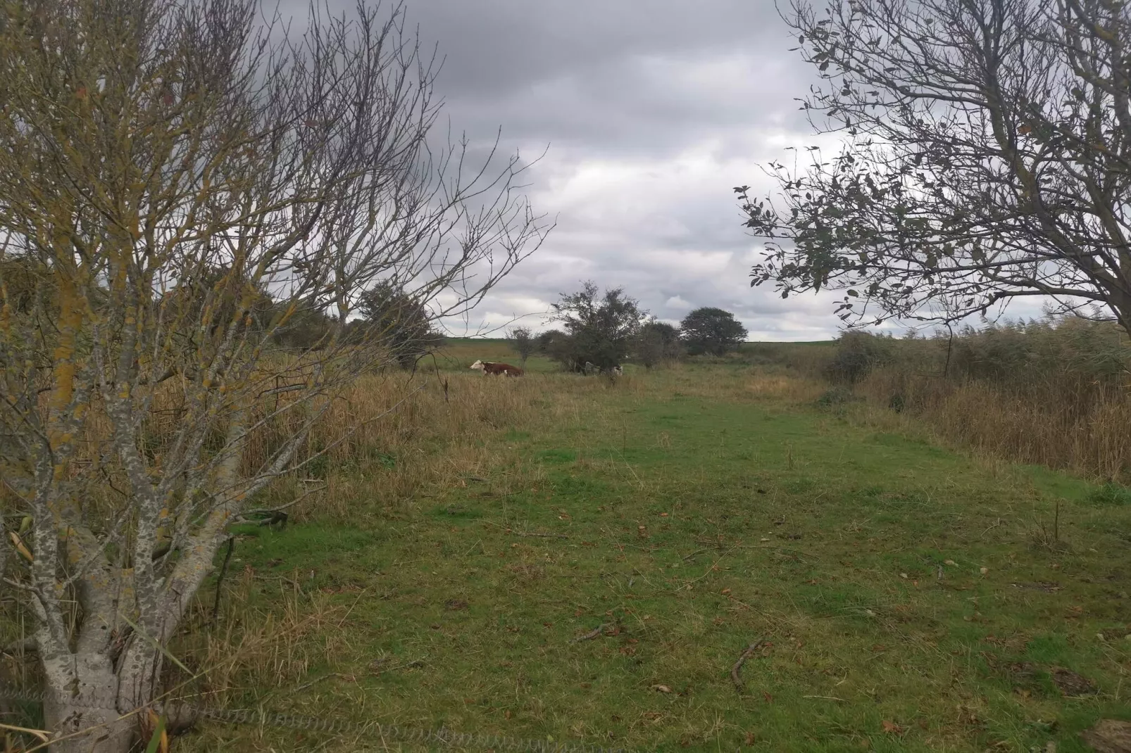 6 persoons vakantie huis in Dannemare-By Traum-Niet-getagd