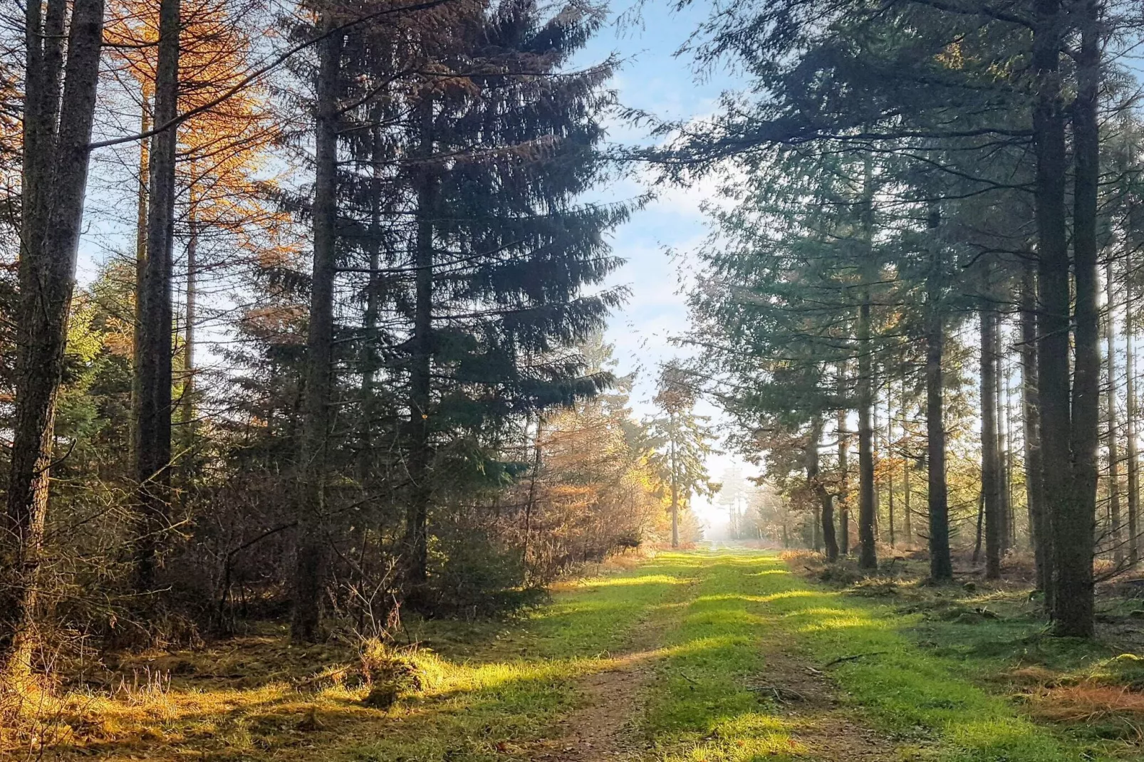 6 persoons vakantie huis in Toftlund-By Traum-Buitenlucht