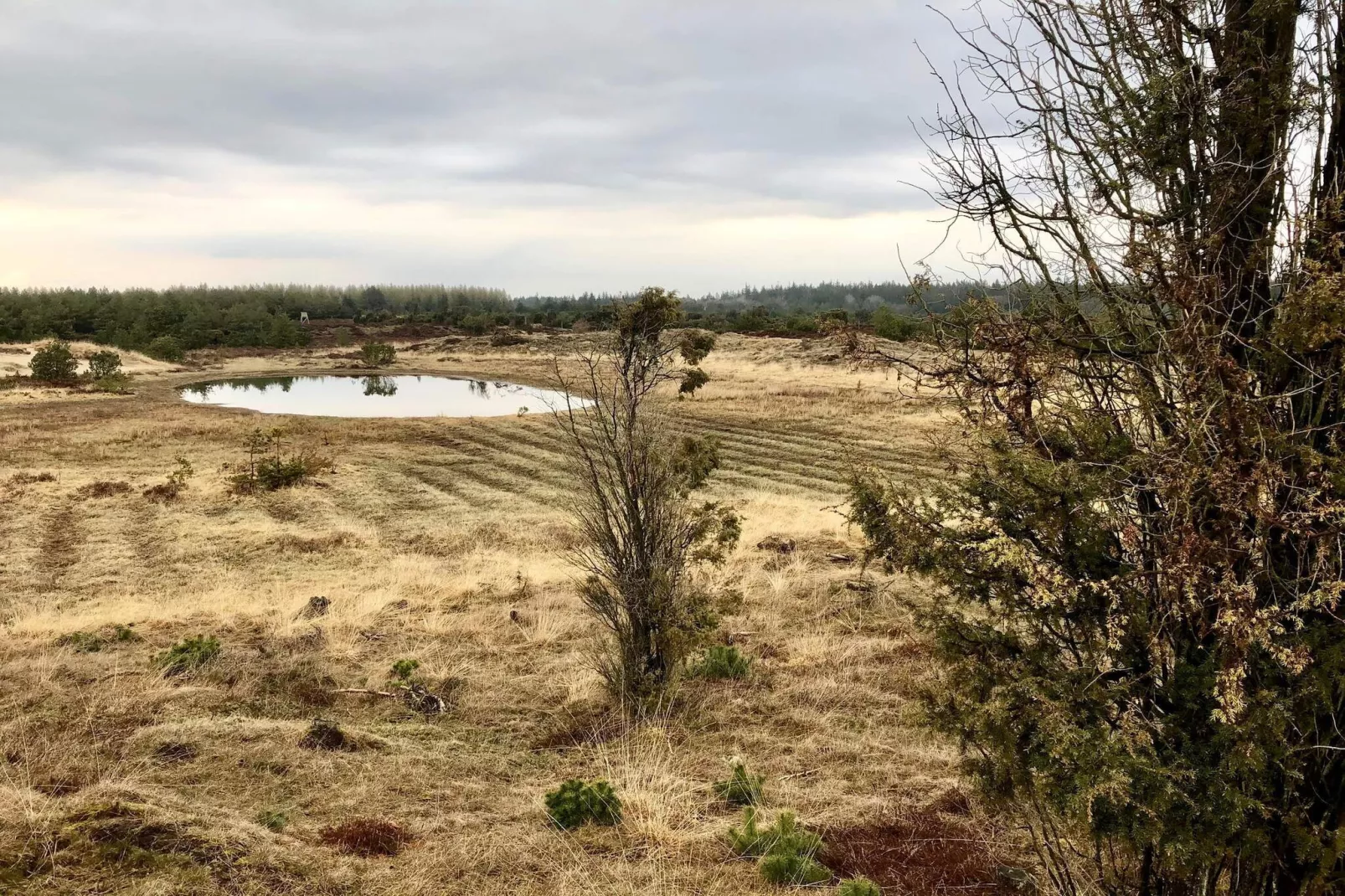 4 persoons vakantie huis in Grindsted-By Traum-Waterzicht