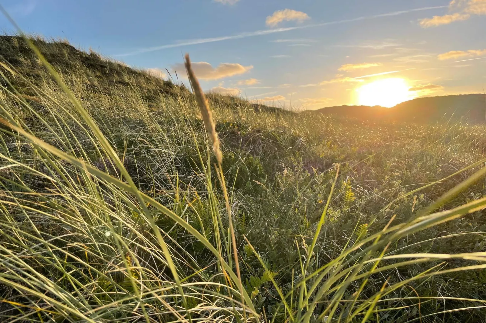 6 persoons vakantie huis in Hvide Sande-By Traum-Niet-getagd