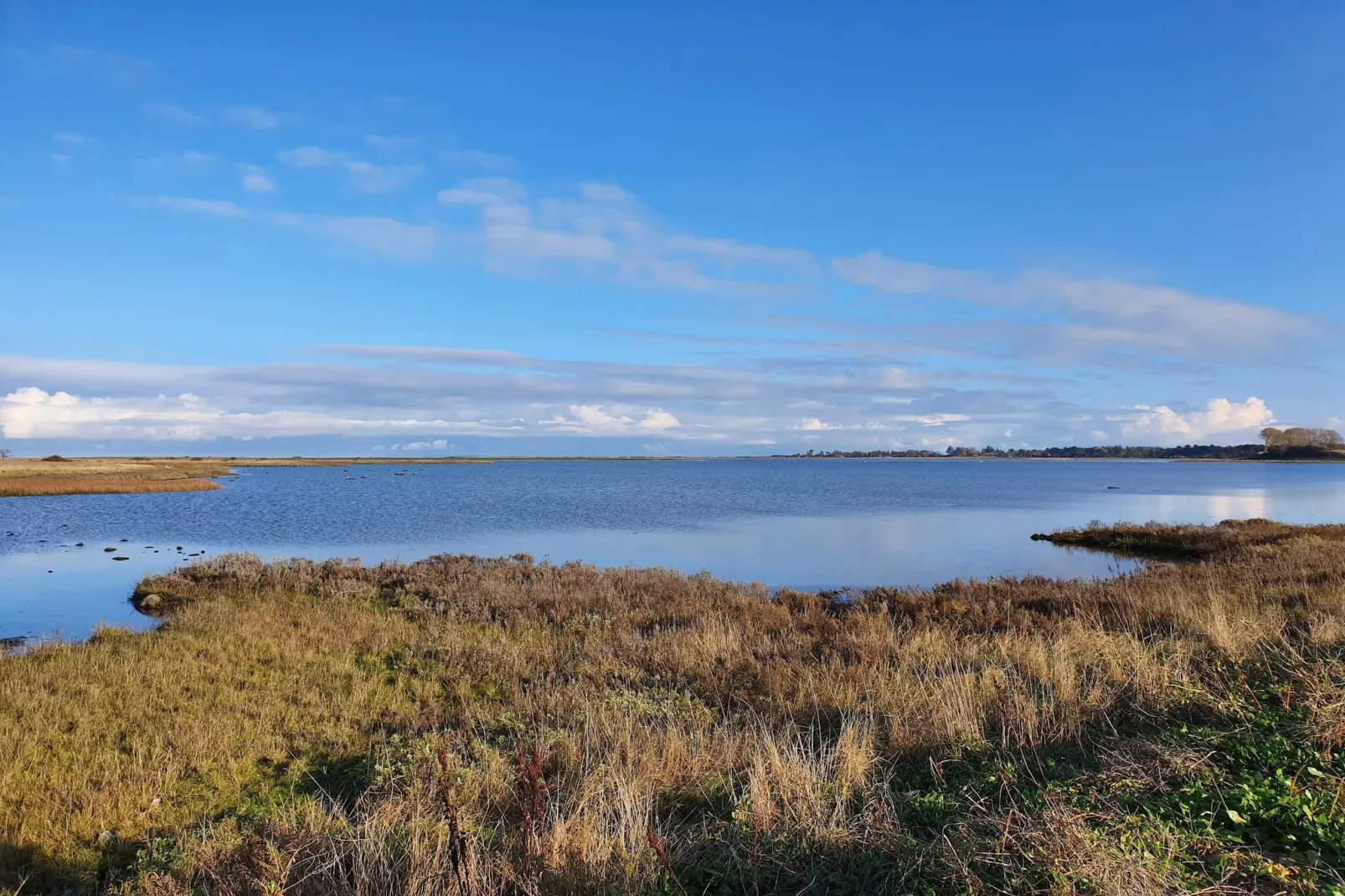 4 persoons vakantie huis in Martofte-By Traum-Waterzicht