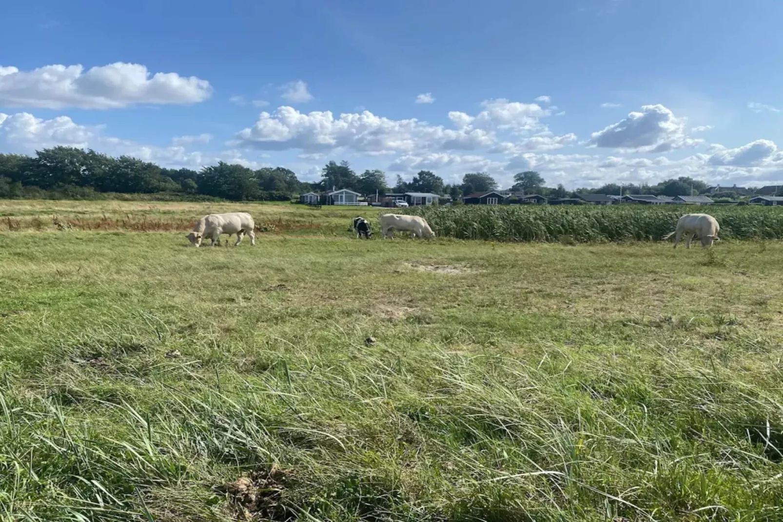 Luxe retraite in Als -- By Traum Ferienwohnungen-Niet-getagd