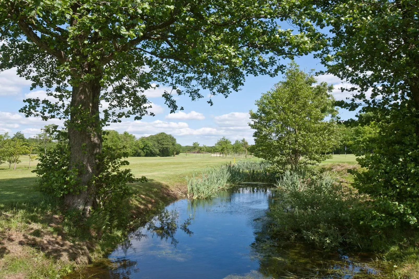 6 persoons vakantie huis in Børkop-Waterzicht