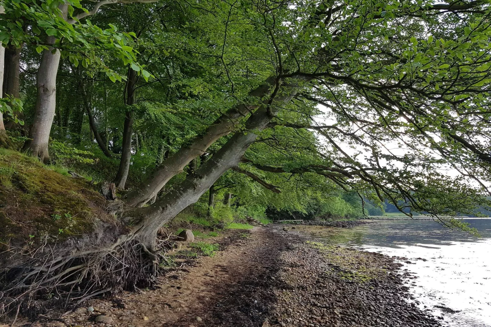 Gezellig toevluchtsoord nabij strand -- By Traum Ferienwohnungen-Waterzicht