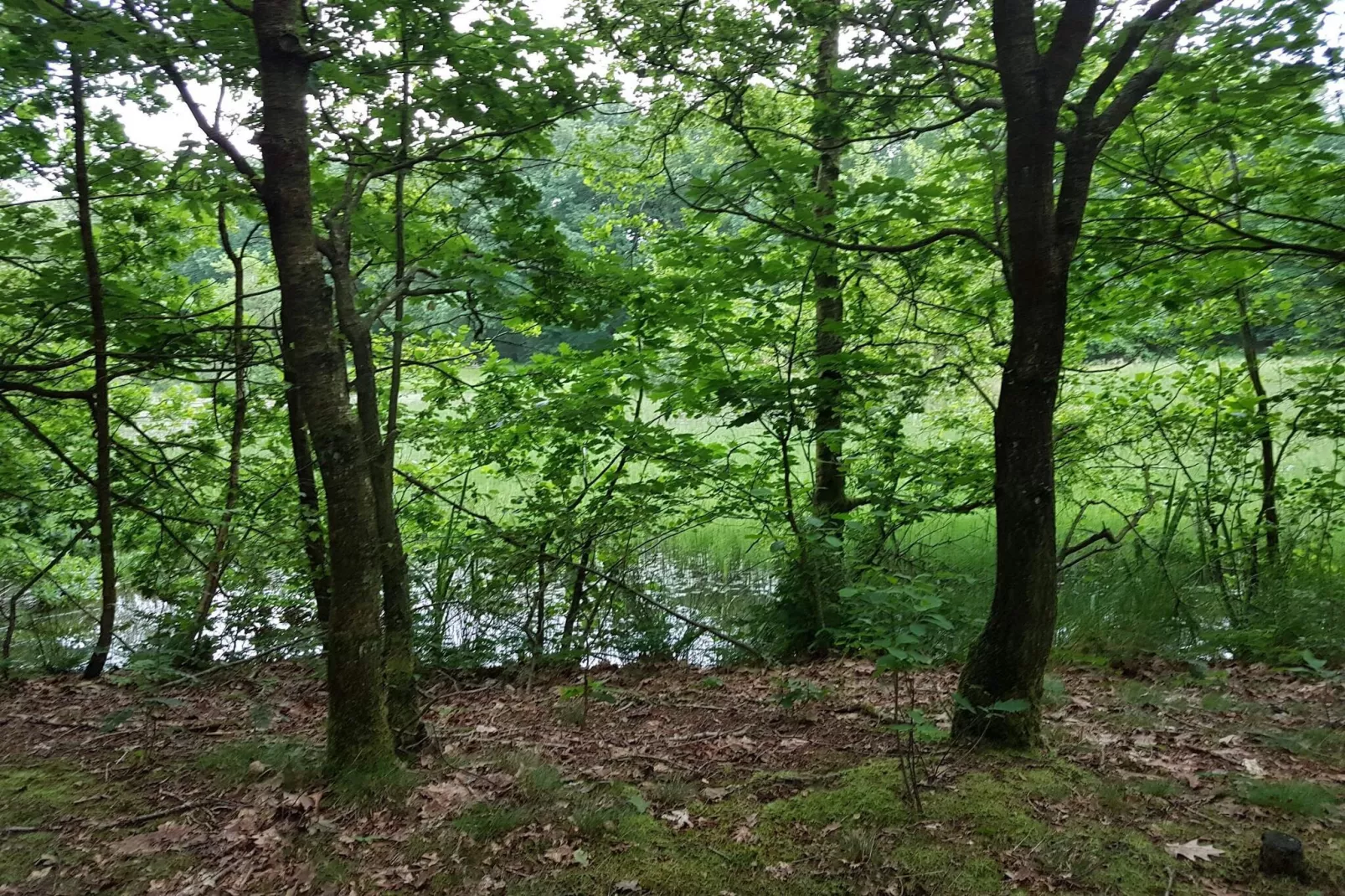 Gezellig toevluchtsoord in Arrild -- By Traum Ferienwohnungen-Niet-getagd