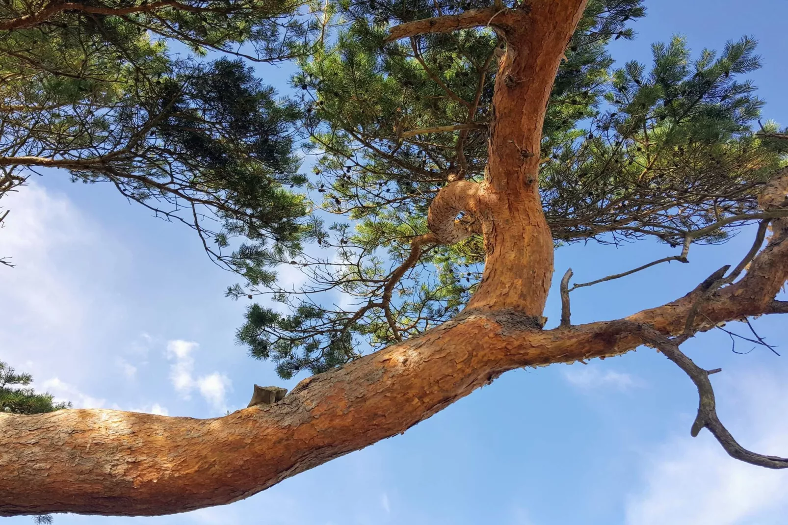 Luxe zwembad retraite Udsholt -- By Traum Ferienwohnungen-Niet-getagd