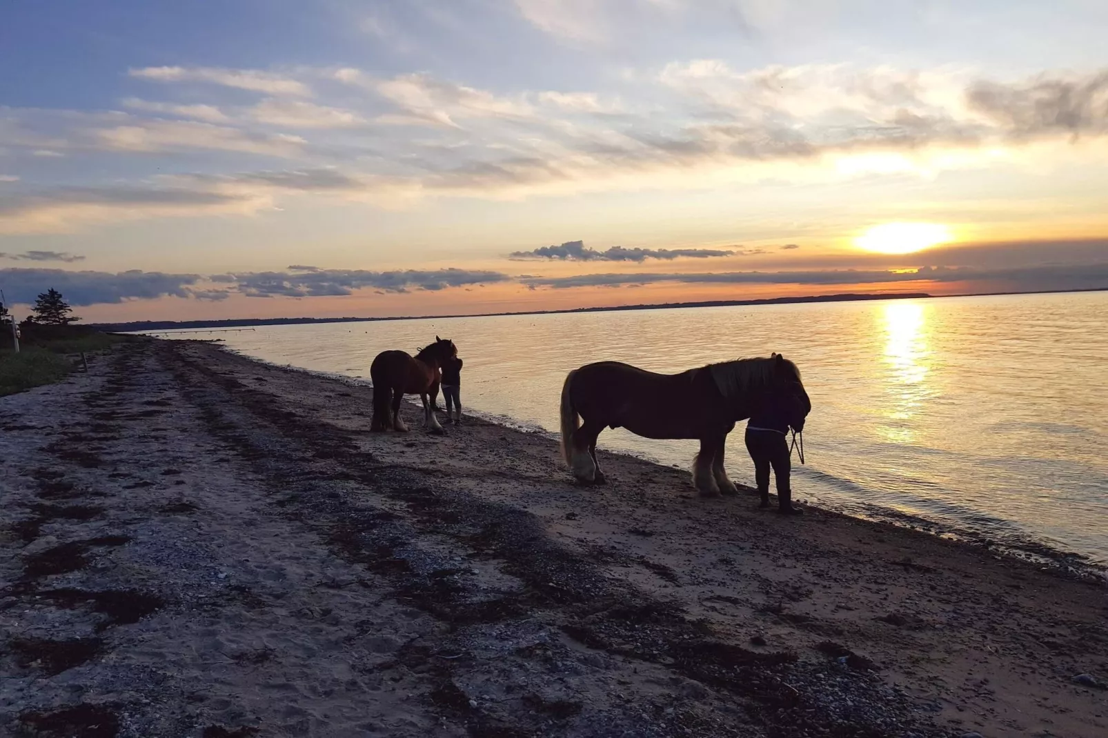 Luxe retraite met zwembad -- By Traum Ferienwohnungen-Waterzicht