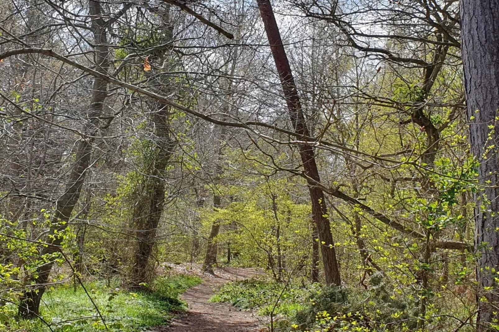 Modern toevluchtsoord bij strand -- By Traum Ferienwohnungen-Niet-getagd