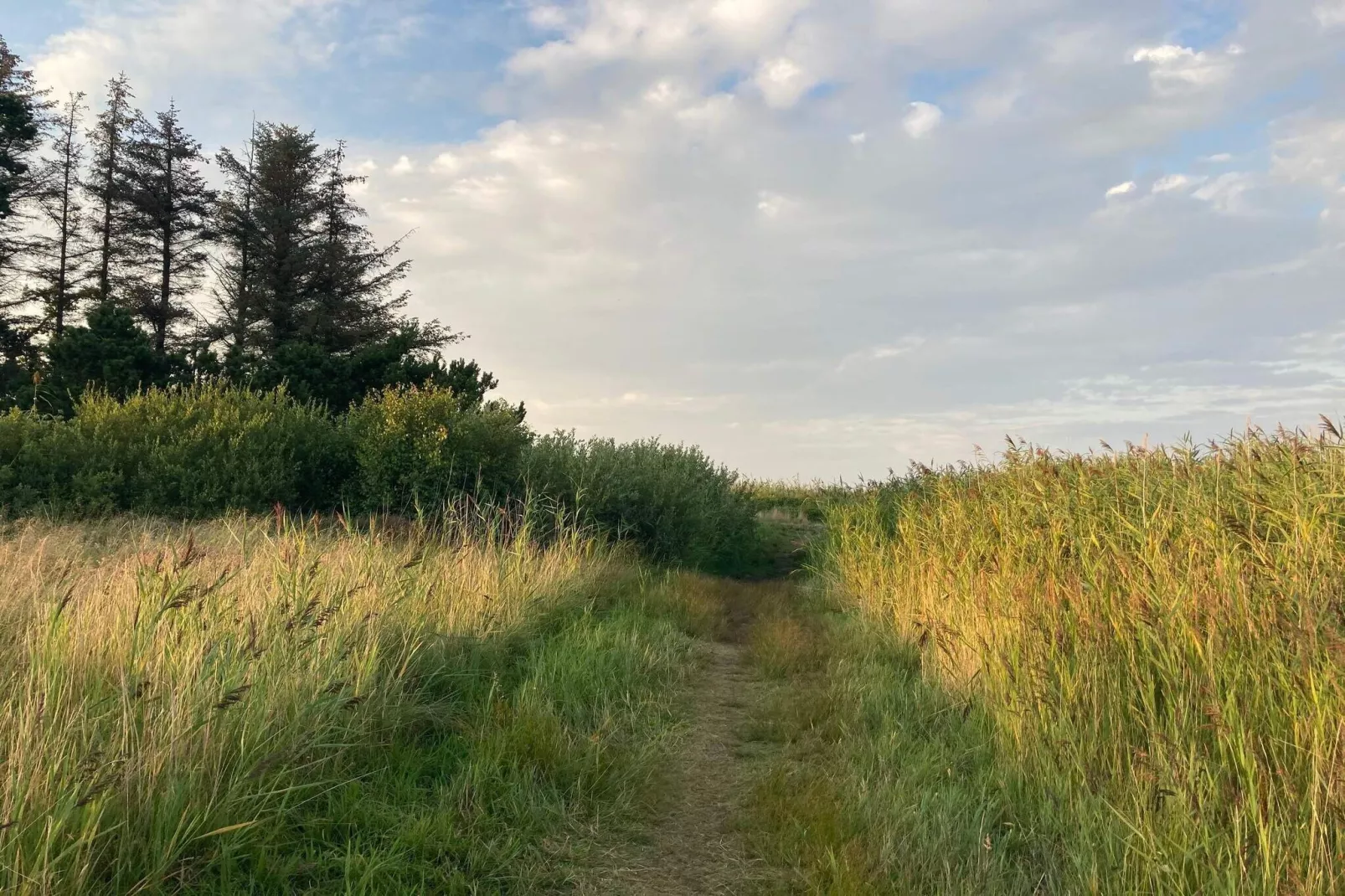 4 persoons vakantie huis in Hals-By Traum-Niet-getagd