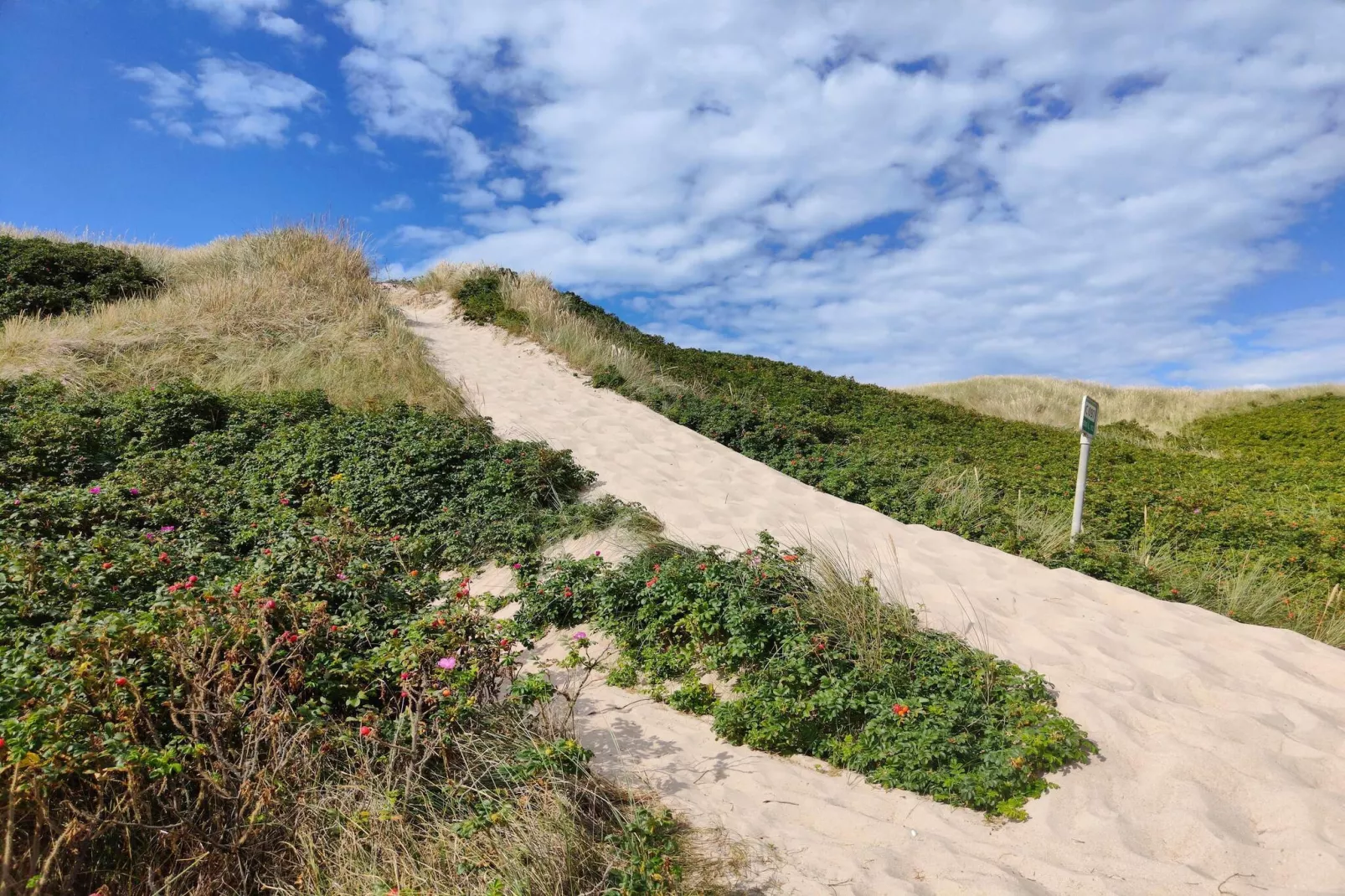 Gezellig duinverblijf nabij zee -- By Traum Ferienwohnungen-Niet-getagd