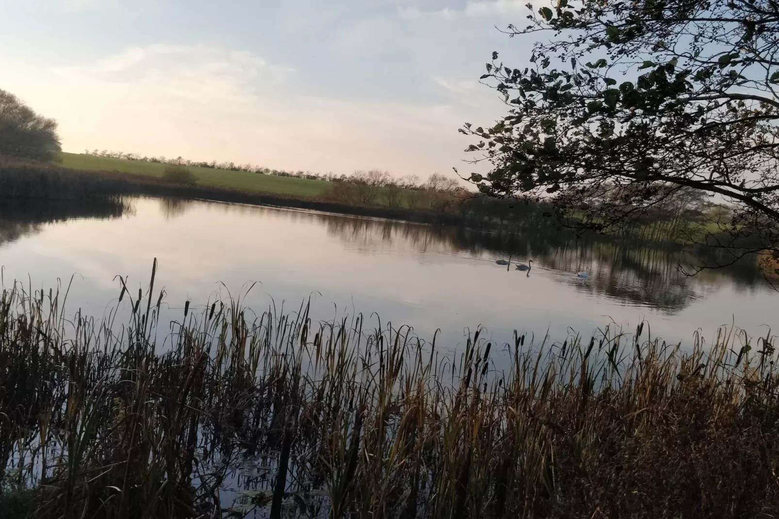 6 persoons vakantie huis in Løgstør-By Traum