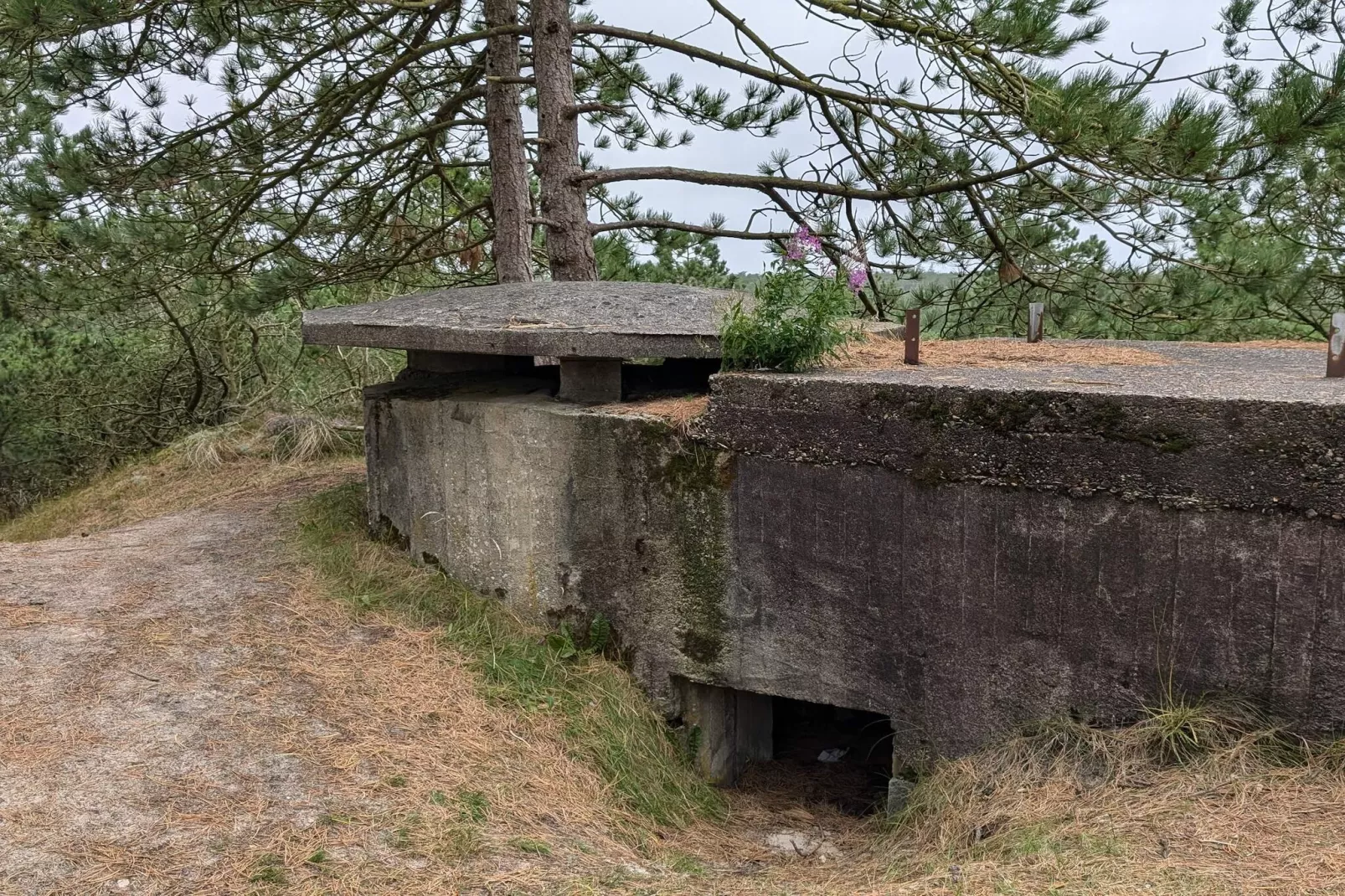 4 persoons vakantie huis in Oksbøl-By Traum-Niet-getagd