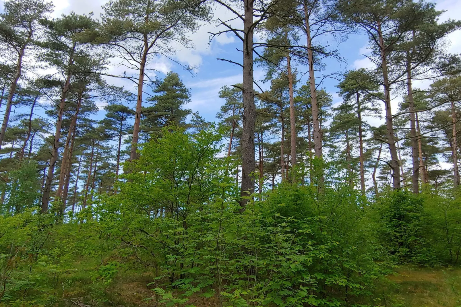 Luxe retraite met zwembad -- By Traum Ferienwohnungen-Niet-getagd