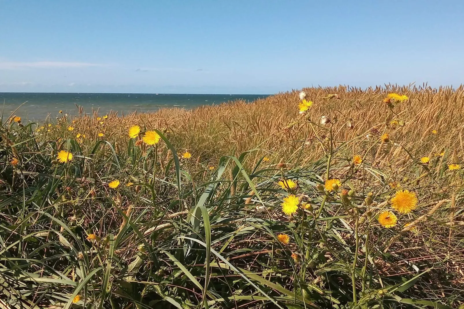 6 persoons vakantie huis in Skibby-By Traum-Niet-getagd